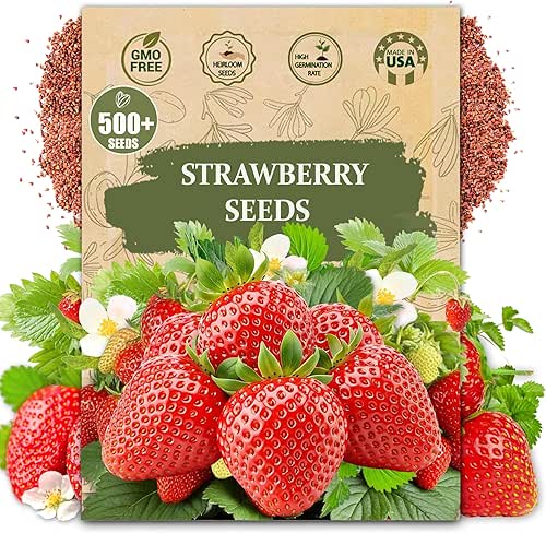 Rare Strawberry Seeds for Planting - 500 Fragaria × Ananassa