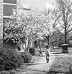 Review Image by Bat Baterson