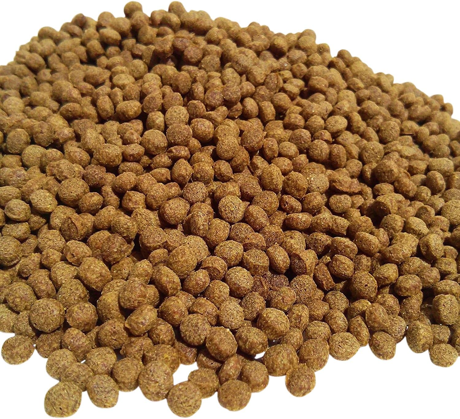 koi wheat germ pellets