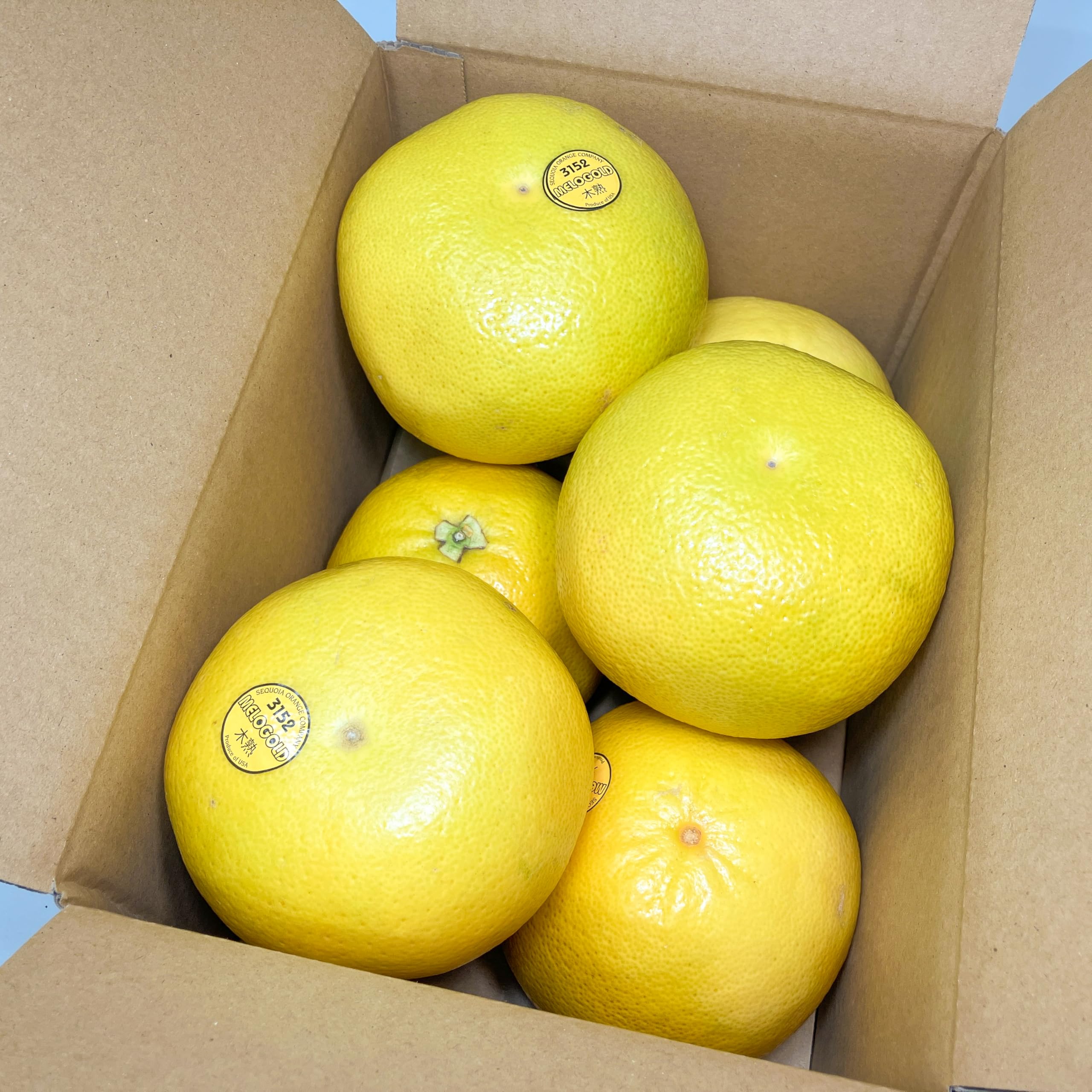 極選プレミアム　木熟メロゴールド Amazon.co.jp: 木熟 メロゴールド アメリカ産 3.5kg 6～8玉 中玉 小箱