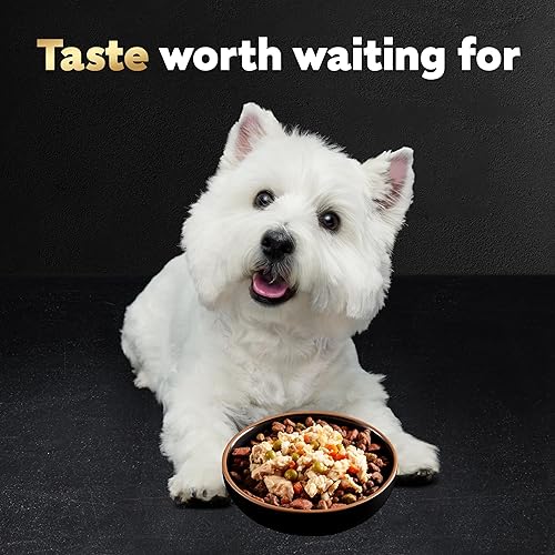 Miniatura 8 de CESAR Simply Crafted - Paquete variado de comida húmeda para perros adultos, pollo y pollo, zanahorias y judías verdes, 1.3 onzas (paquete de 16)