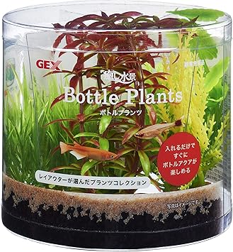 Amazon ジェックス 癒し水景 ボトルプランツ ロタラ ジェックス ペット用品 通販 Amazon ジェックス 癒し水景 ボトルプランツ ロタラ ジェックス ペット用品 通販