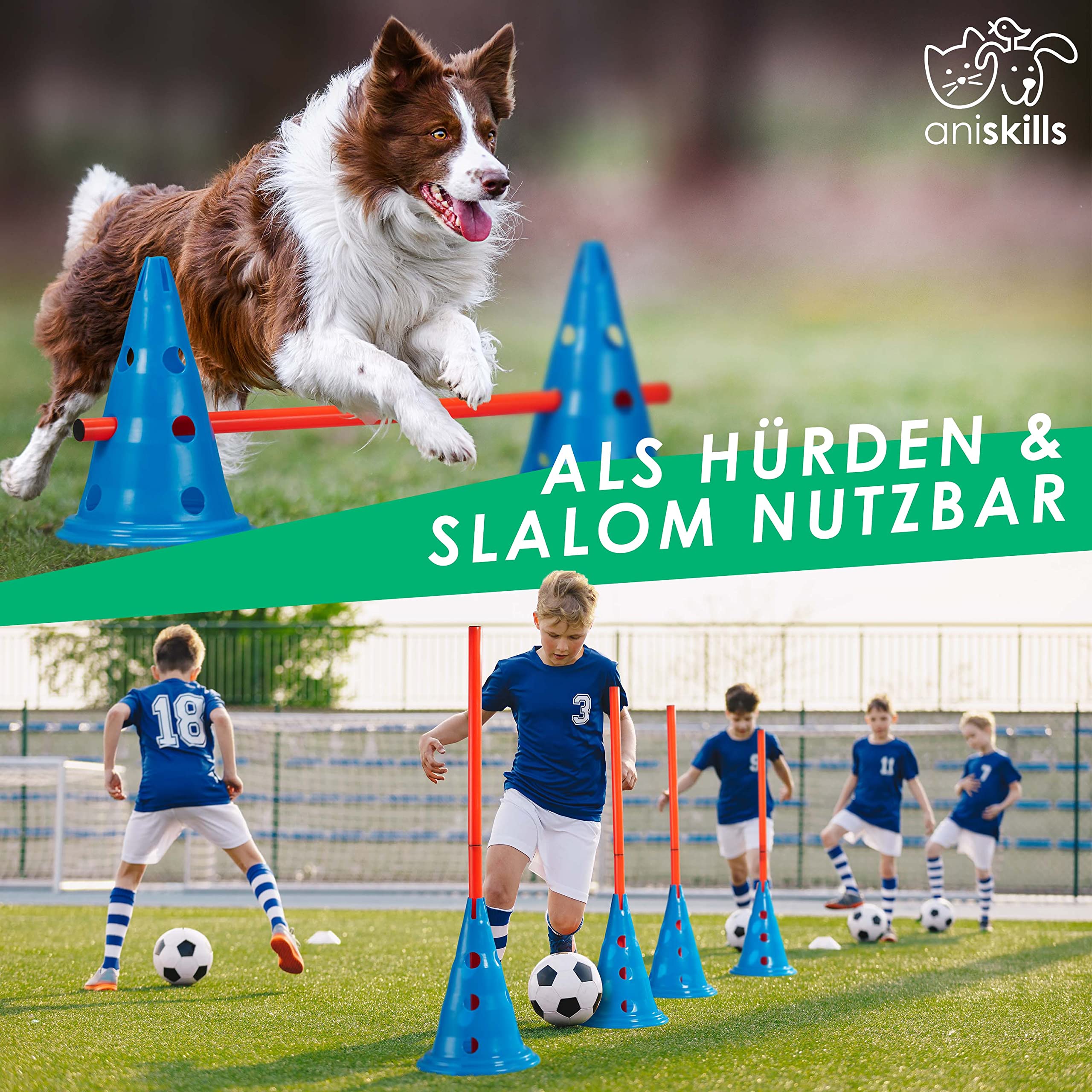 Premium Agility Set - 10 Blaue Kegel 30,5cm hoch, 5 orangene Stangen 80cm lang - Flexibles Koordinationstraining - Hunde Parcour und Hürden Set - Agility Set - deutsches Unternehmen