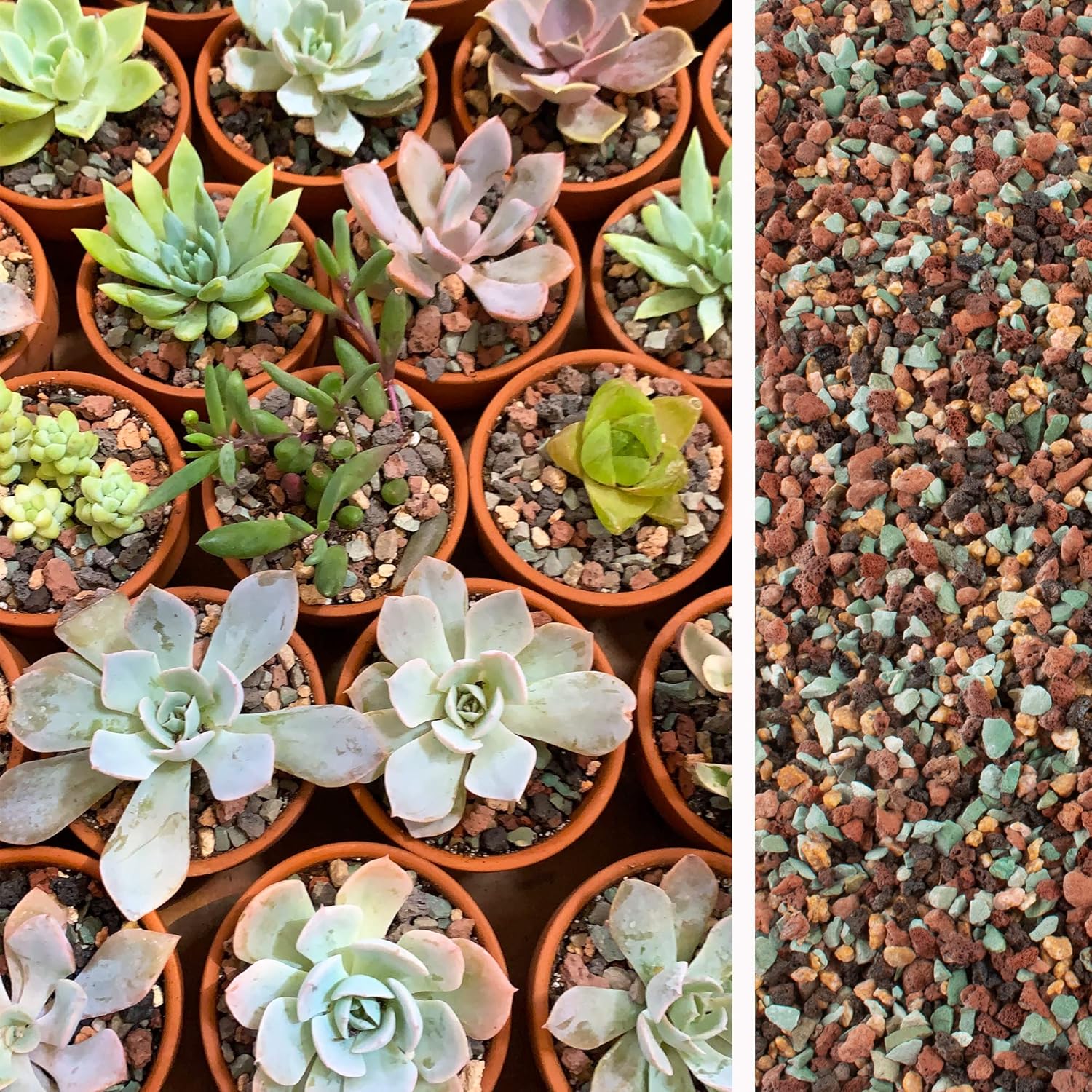 18lb Mix Lava Rocks for Plants in Door -Gravel Pebbles for Bonsai Succulent Cactus Potting Soil and Vase Fillers, Fairy Gardening,Top Dressing - Image 6