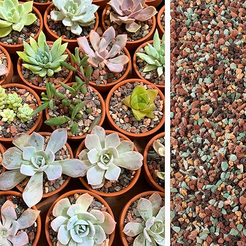 Miniatura 6 de Mezcla de rocas de lava de 18 libras para plantas en puerta, guijarros de grava para bonsái suculentos y rellenos de jarrones, jardinería de hadas