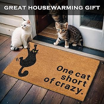 Amazon.com: One Cat Short of Crazy Door Mat 30x17 Inch, Coir