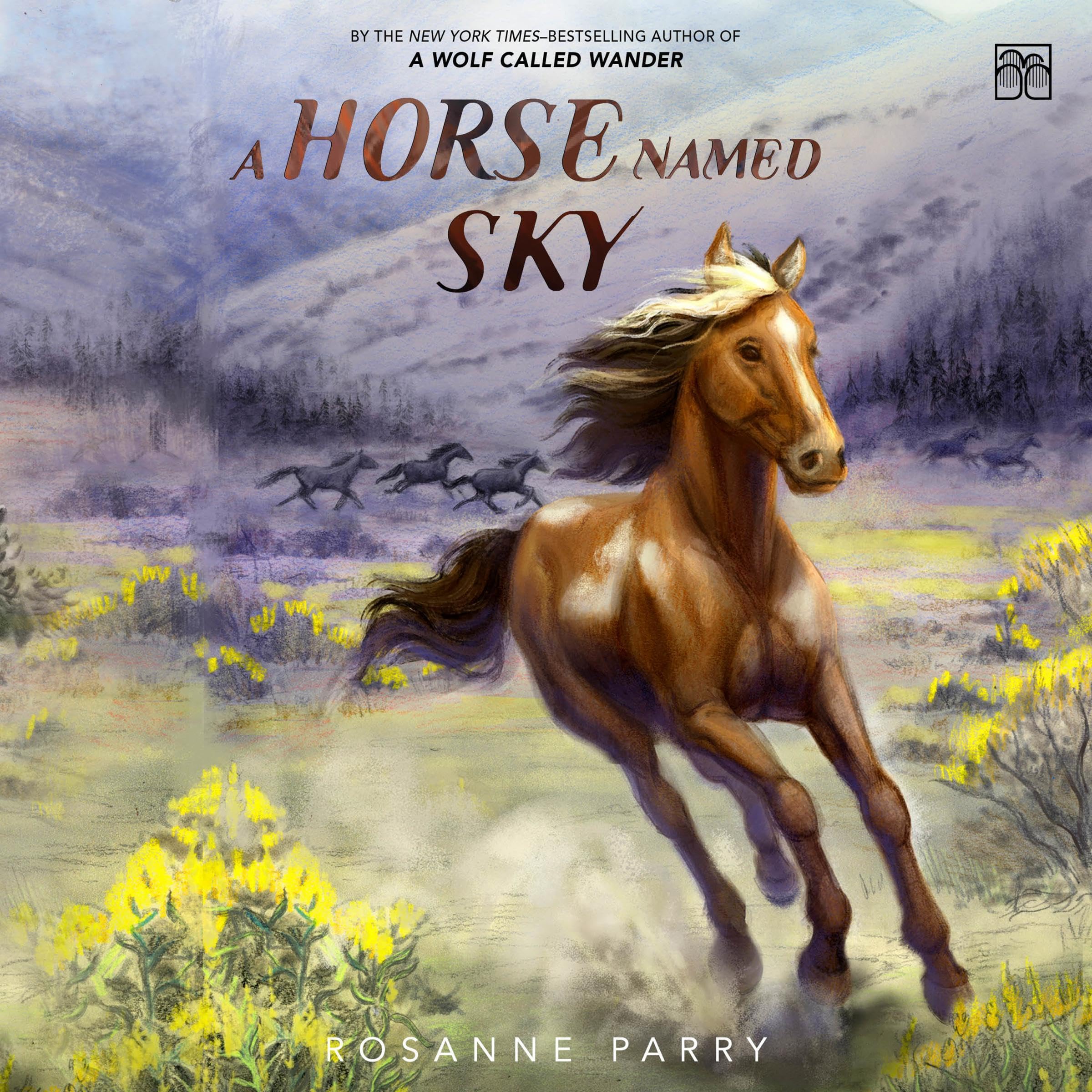 Cover art for A Horse Named Sky