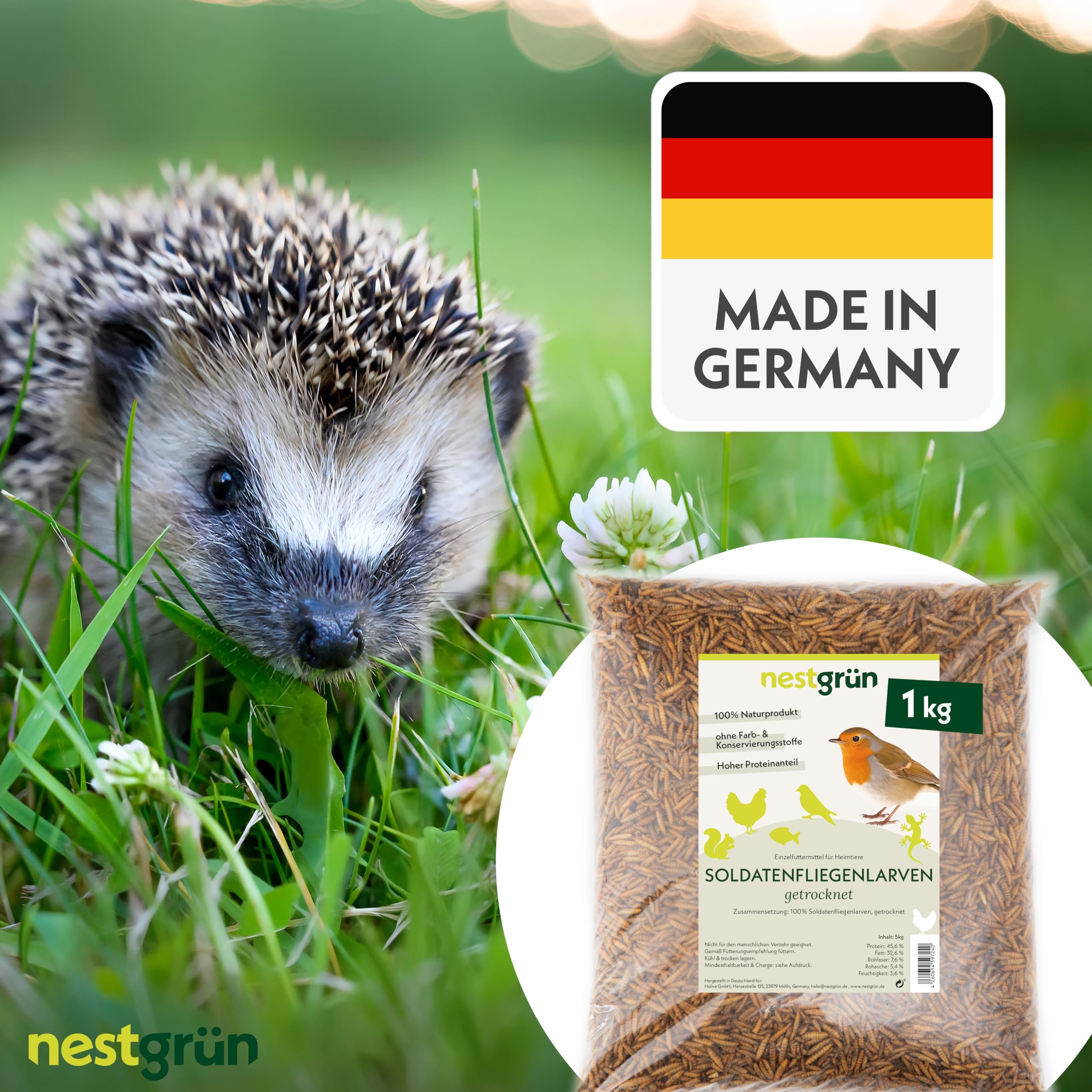 Soldatenfliegenlarven getrocknet 1 kg, Premium Futterinsekten für Ziergeflügel, Vögel, Reptilien, Nager & Fische – proteinreicher Snack, schonend getrocknet, 100% natürlich