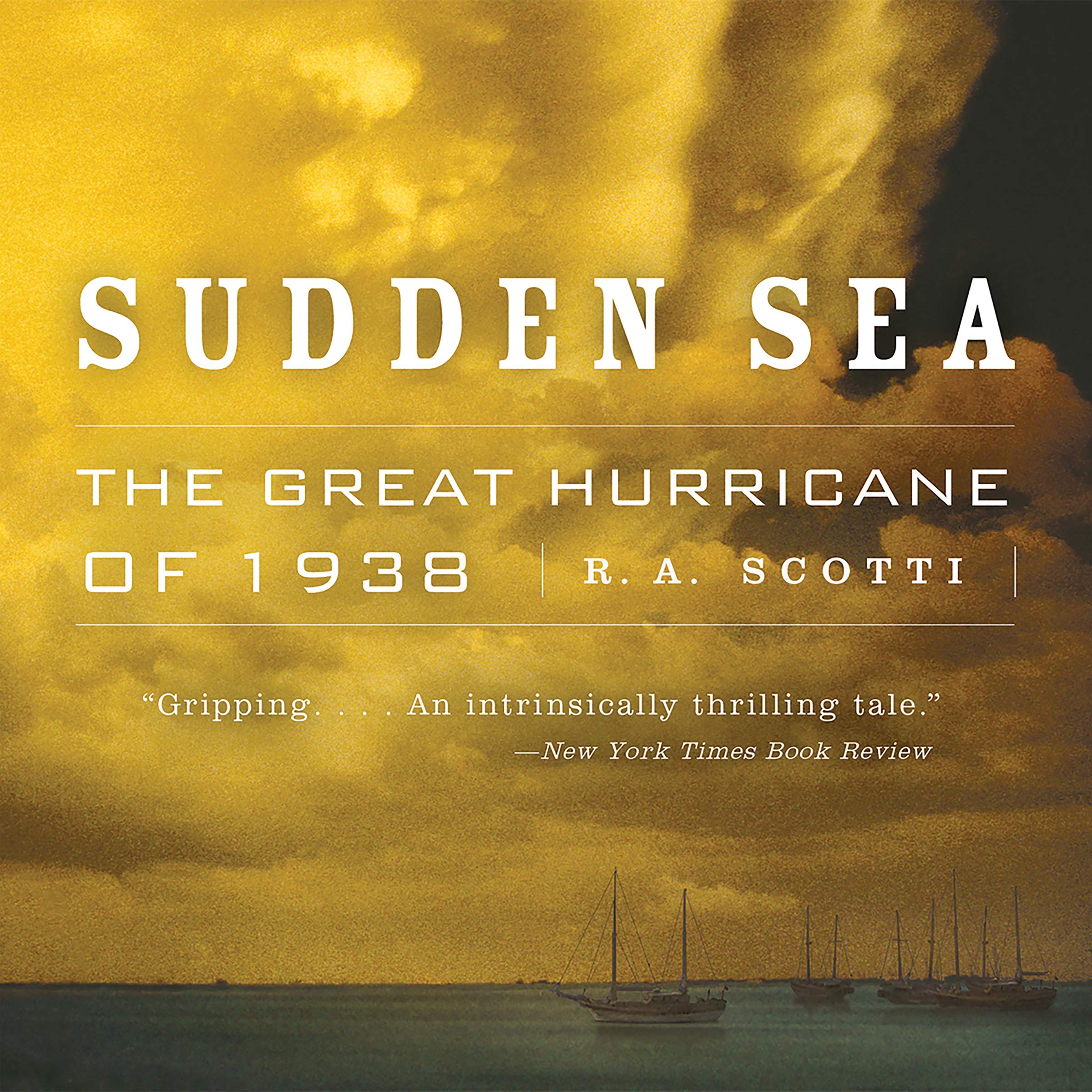 Cover art for Sudden Sea