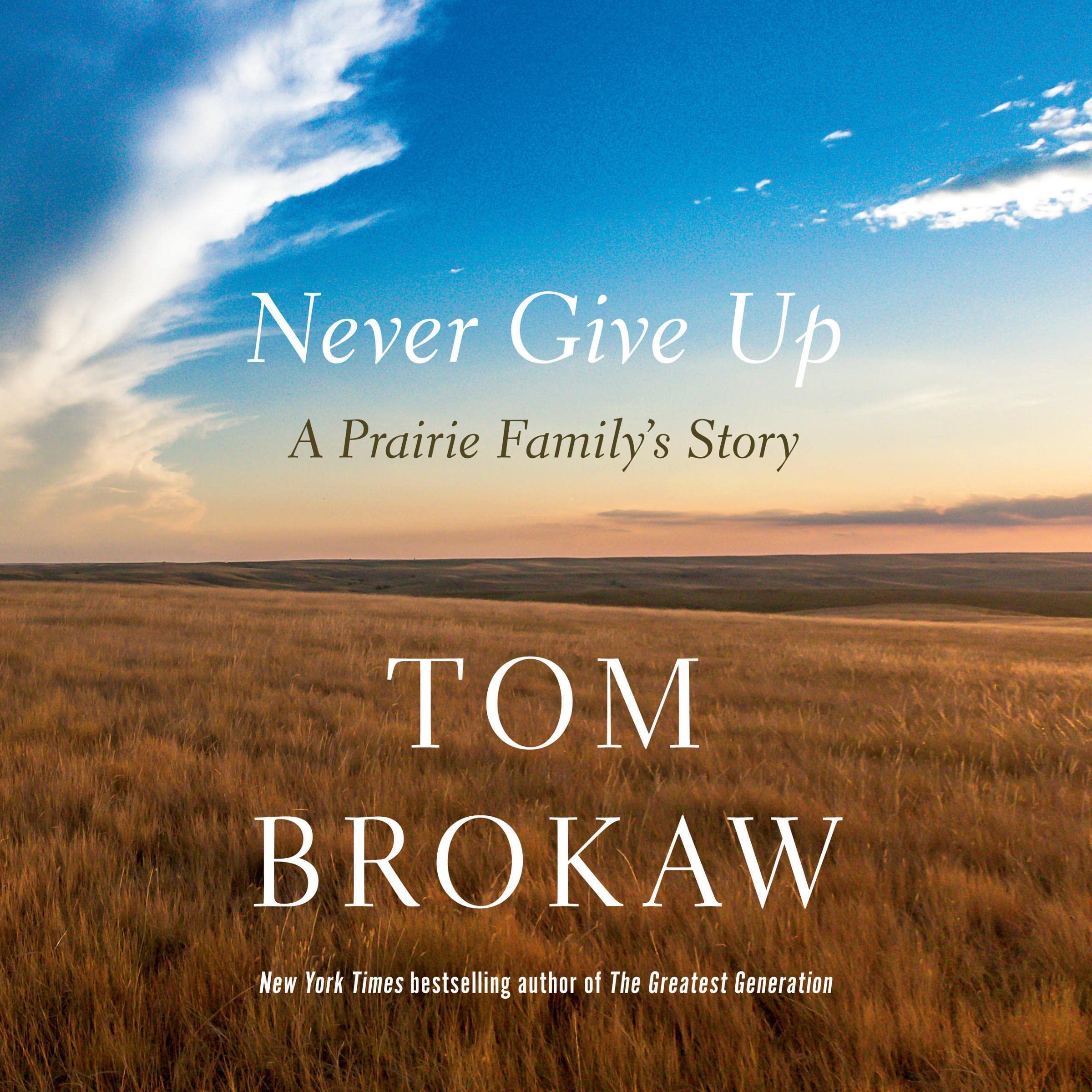 Cover art for Never Give Up
