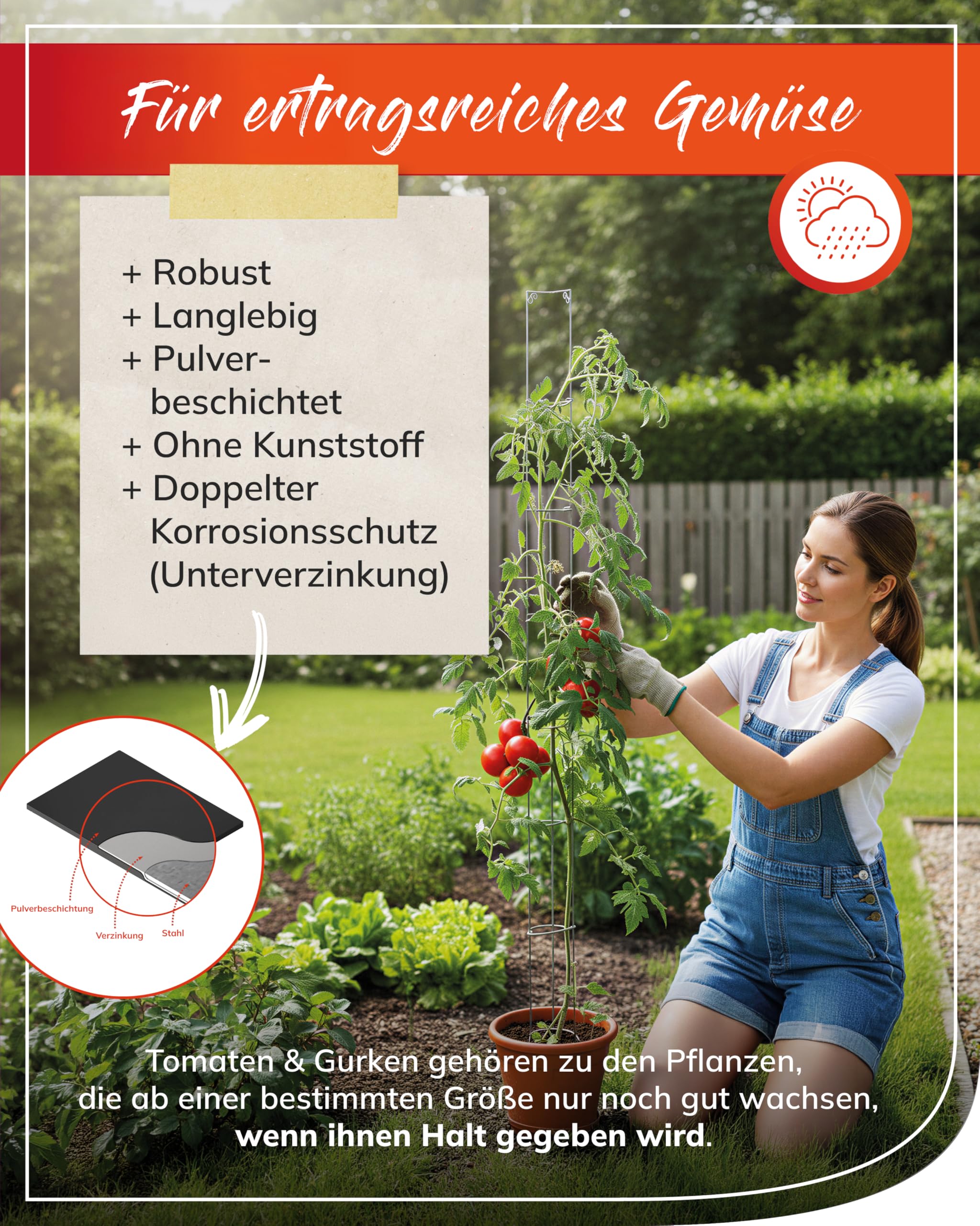 bellissa Tomatenturm Rankhilfe Tomaten Höhe 5 Stück Metall 160 cm