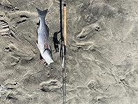 Review Image by Bryan Bryan