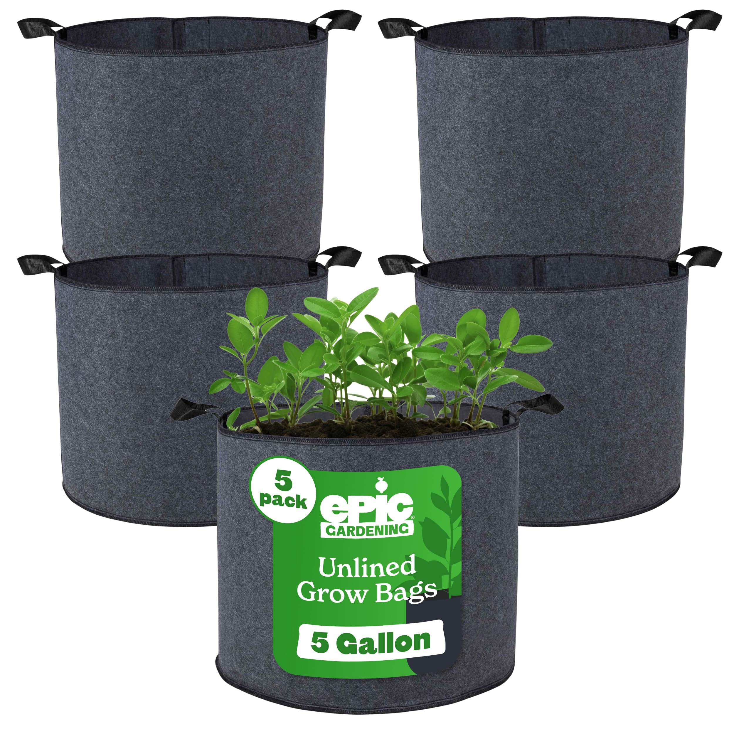 GrassRoots G-PO-60 Potbelly 美品！ Grassroots Living Soil Pots – Sustainable Village