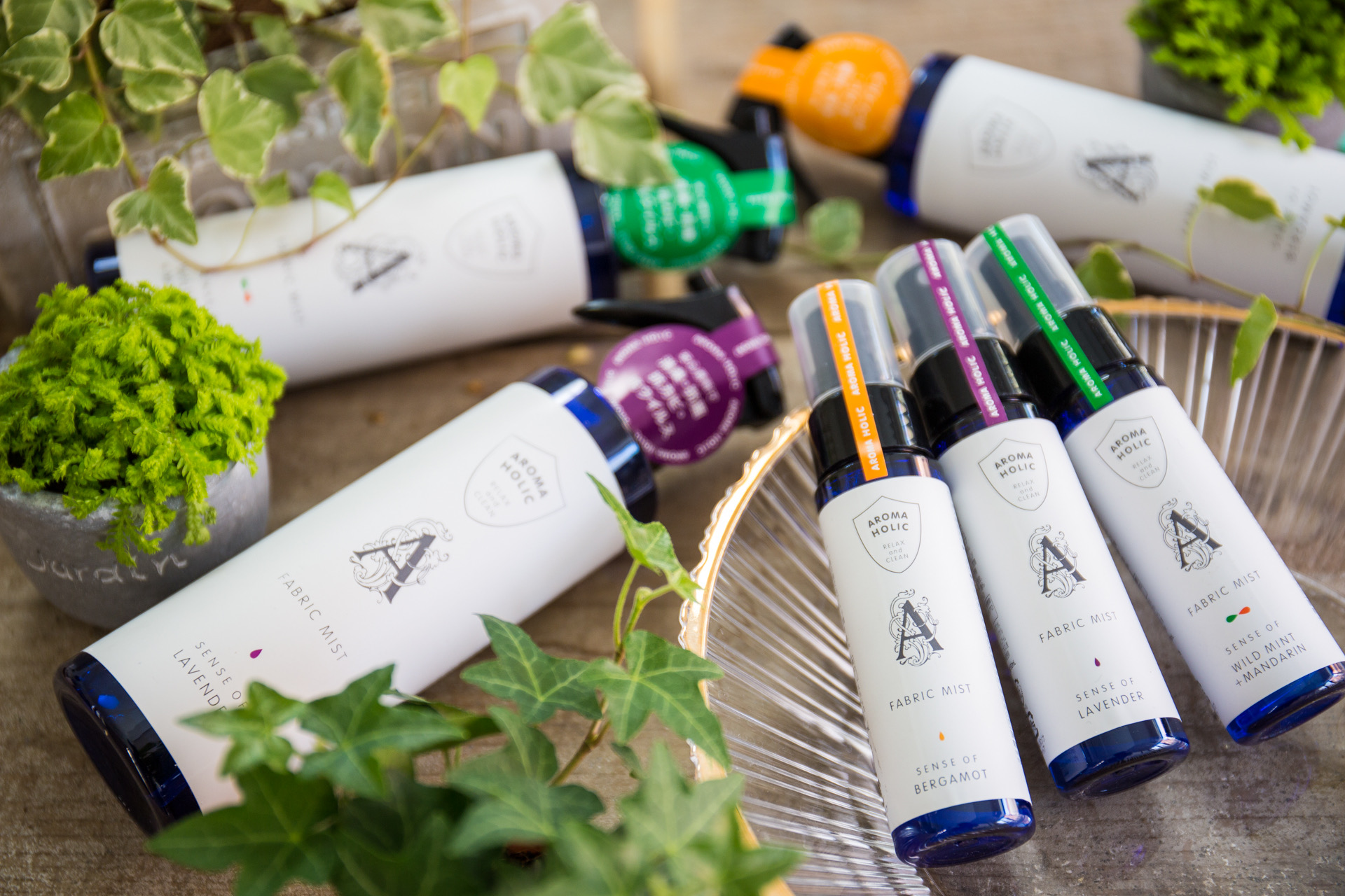 Amazon.co.jp: 【5-in-1 Stick Mint & Mandarin Disinfection