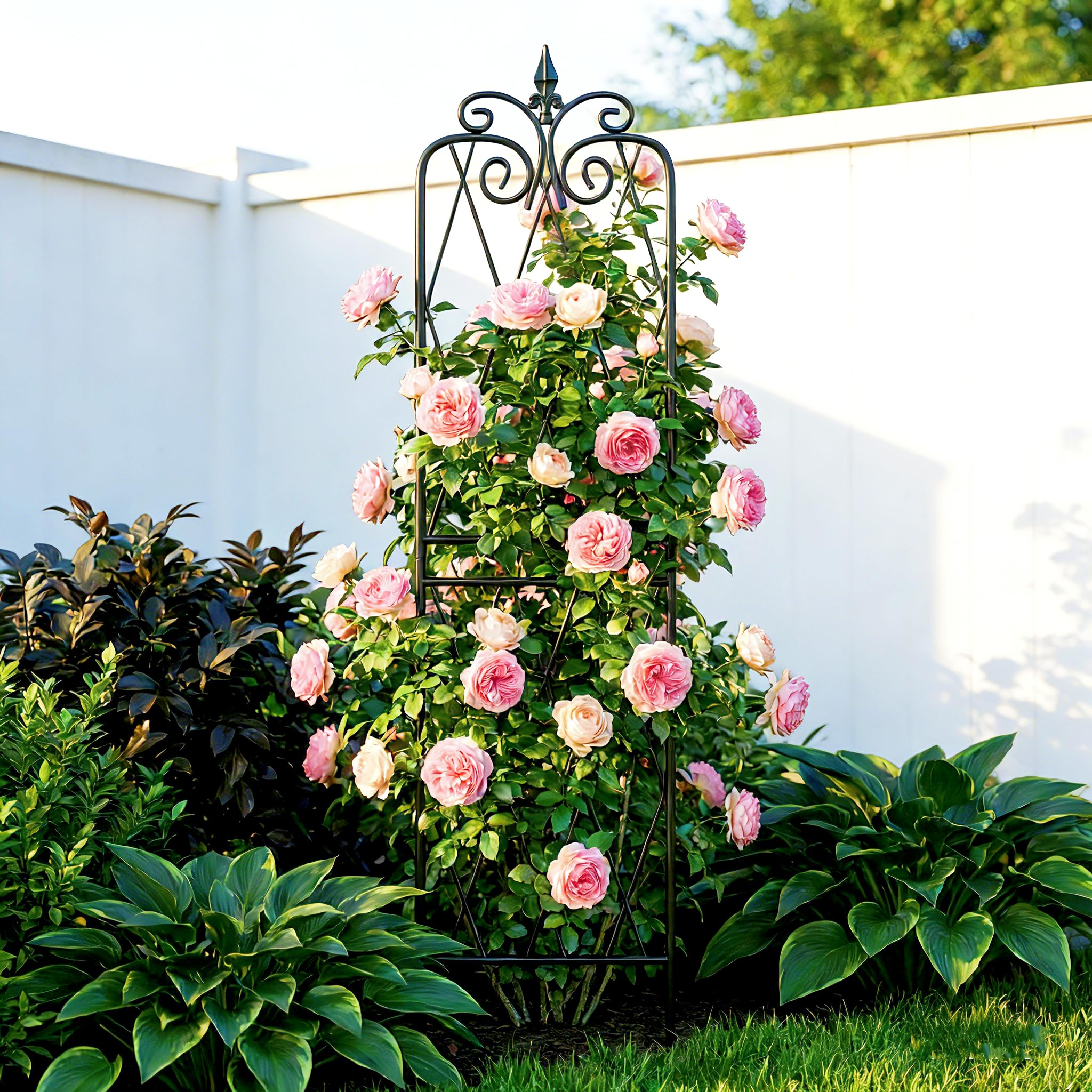 2 Pack 71" H x15 W Trellis,Black Garden Trellis for Climbing Plants Outdoor Metal Frame Sturdy Trellises for Rose