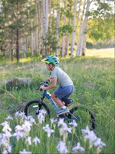 Miniatura 5 de Glerc Daisy - Bicicleta para niñas de 12, 14, 16 pulgadas, para niños de 2 a 7 años, estilo princesa, con ruedas de entrenamiento, cesta y