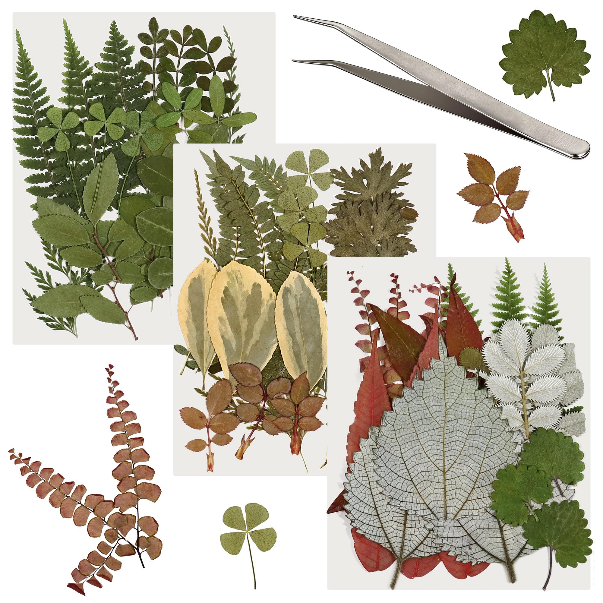 63 Pcs Real Dried Pressed Leaves Assorted Natural Dried Leaf Plant Herbarium Set for DIY Candle Resin Jewelry Soap Vase Nail Phone Case Crafts Making Floral Decors 21 Styles Leaves with Tweezers