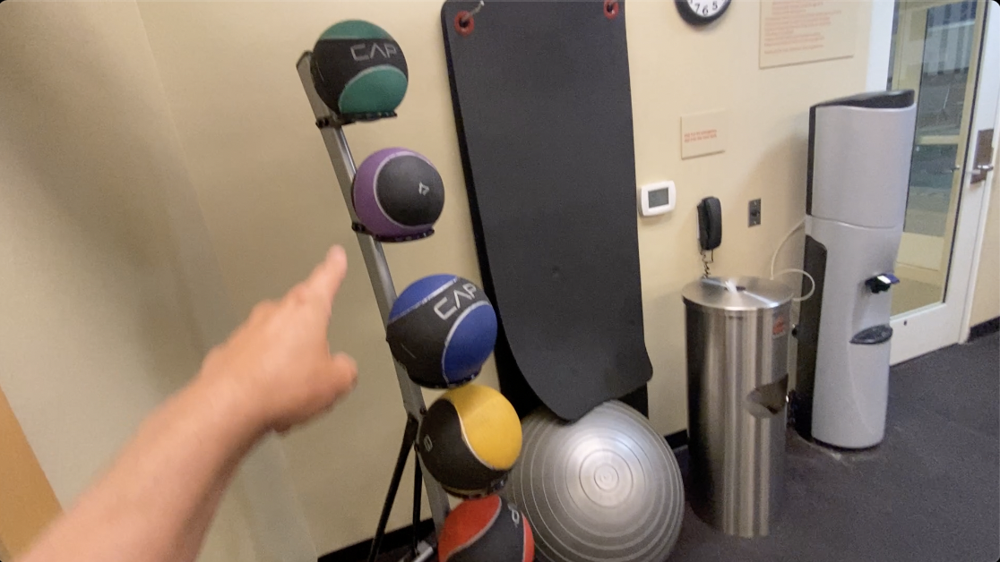 Best Exercise Balls? | WF Athletic Supply Balls + Rack