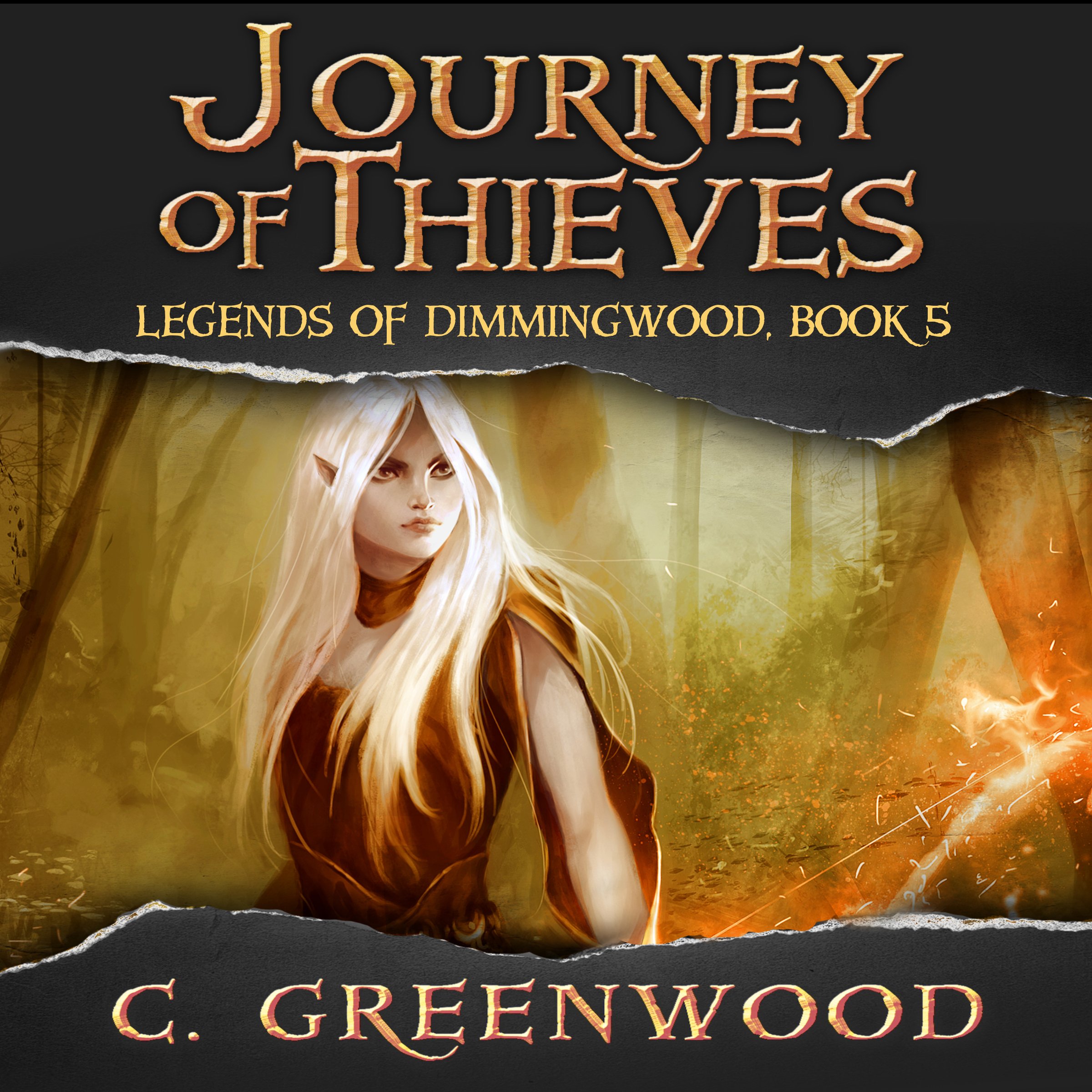 Cover art for Journey of Thieves