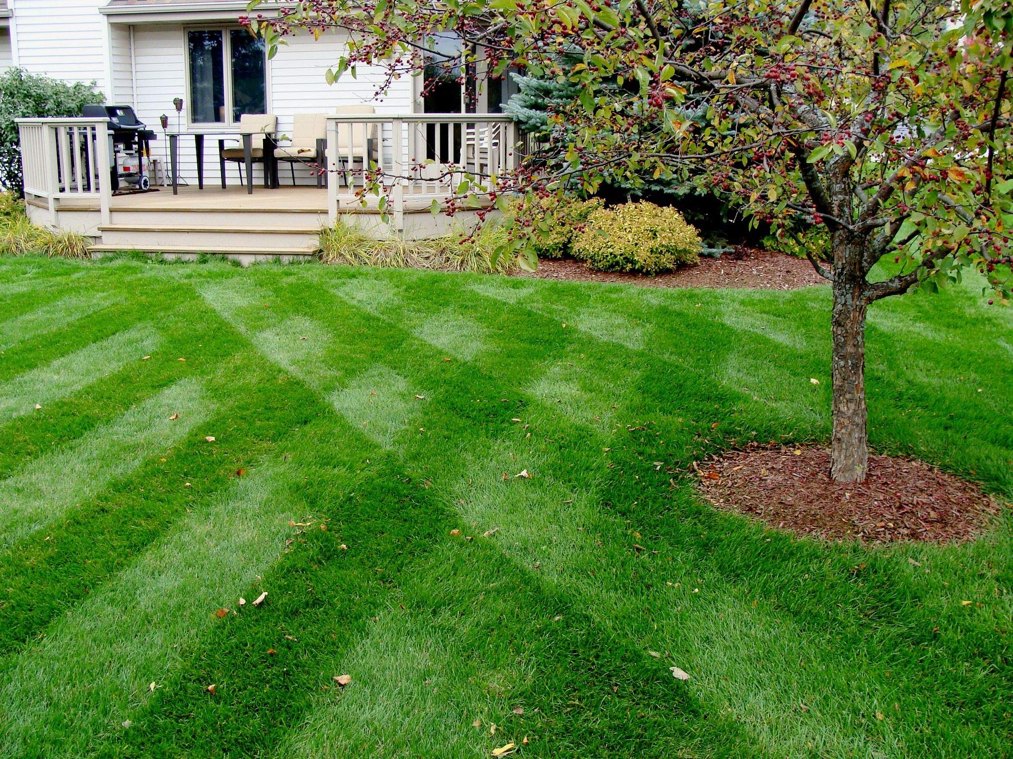 lawn stryper