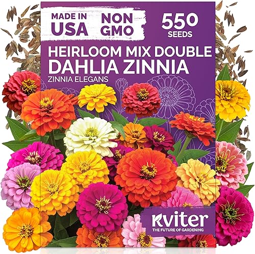 KVITER 550 semillas de zinnia dalia para mezcla 2026 (Zinnia Elegans) - Flores dobles, sin OGM, reliquia y orgánicas - Semillas de flores para