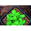 Product Photo 7