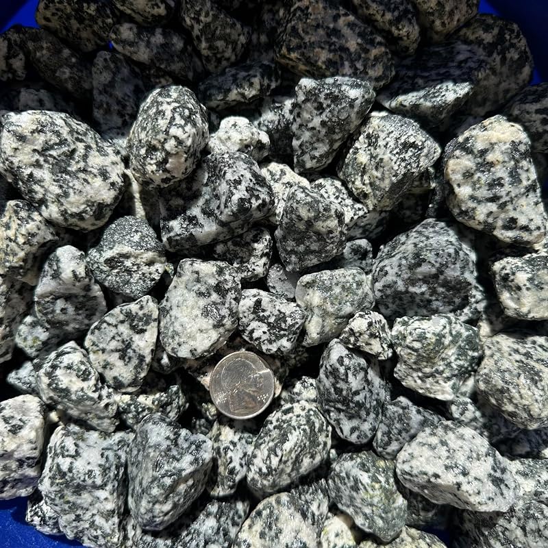 22 Pounds of Big Dalmatian Granite Stones 1" to 2" Size, Black White Rocks Gravel Pebbles for Landscaping, Terrariums Aquariums, Gardens, Pond Water Features, Flower Beds Pots, Decorative Walkways