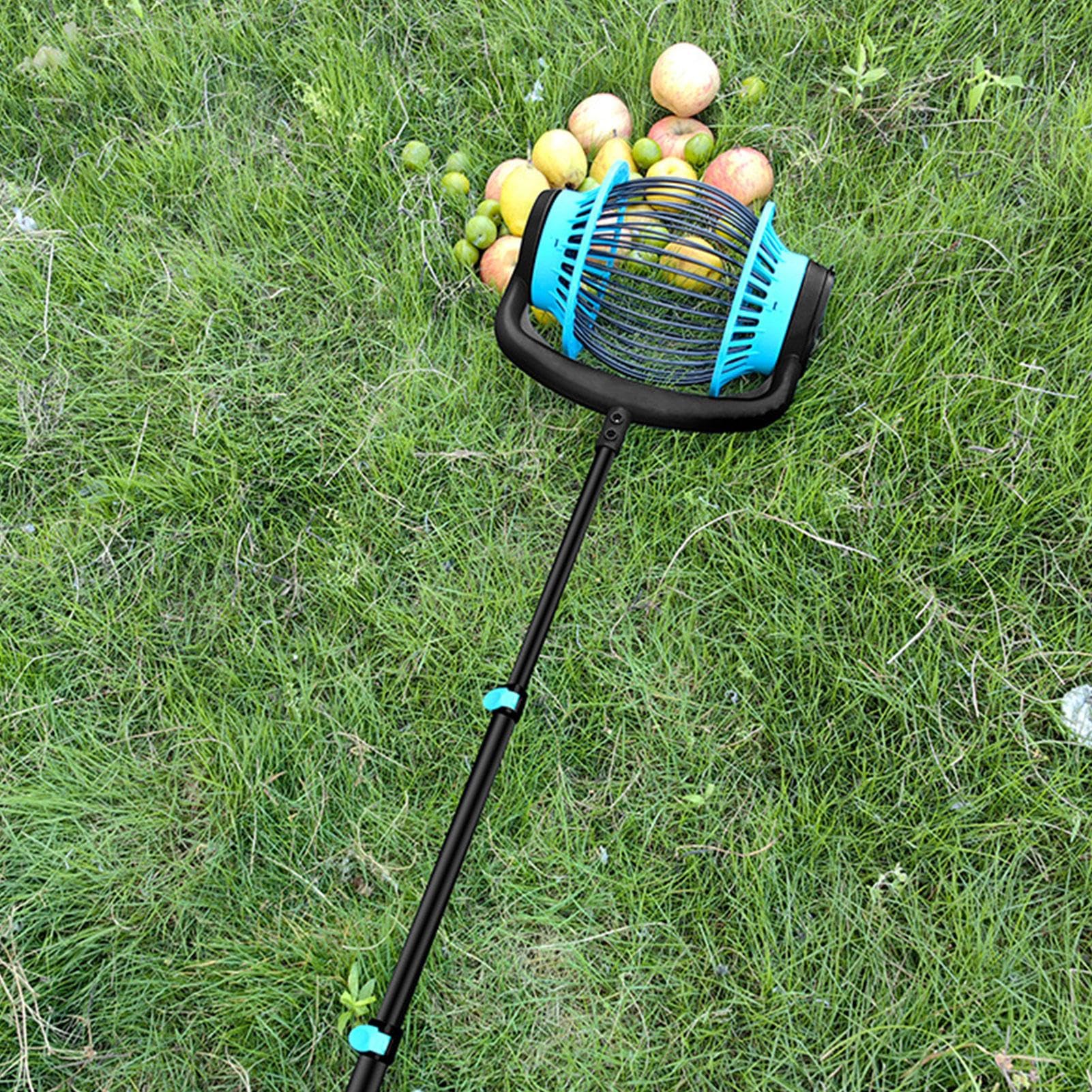 Recolector de nueces retráctil, recogedor de conos de pino rodante | recogedor rápido para nueces, castañas, bellotas, pelotas de golf