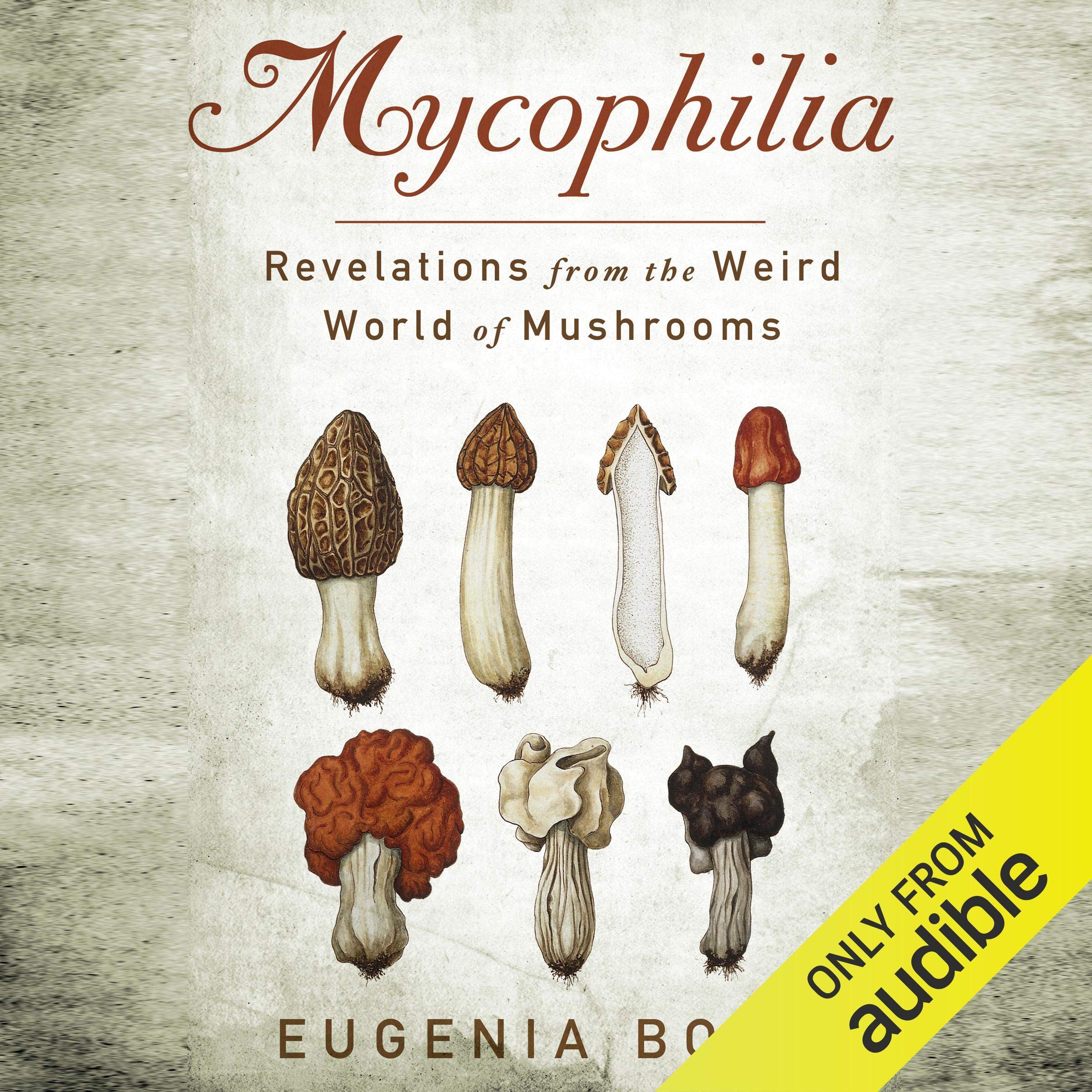 Mycophilia