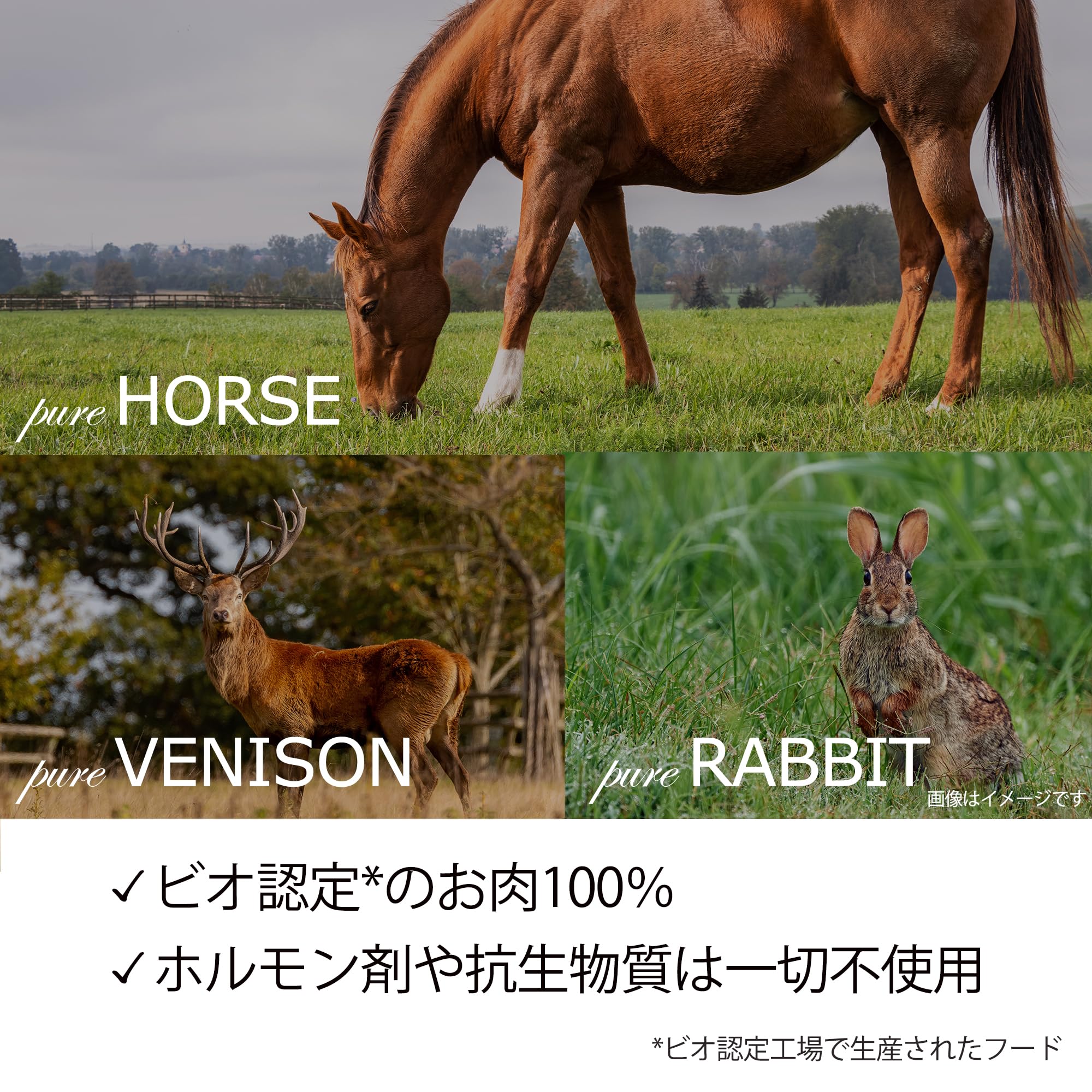 Amazon.co.jp: Bioliob ビオリオーブ ドイツ産 ペットフード 愛犬猫用
