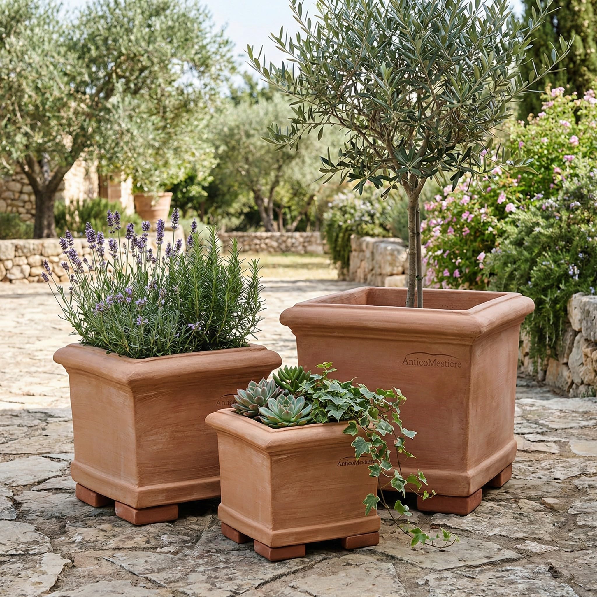 Teramico Pflanzgefäß Cubo Liscio echtes Terrakotta frostfest eckig (30cm) | Hochwertiges, quadratisches Terrakotta-Pflanzgefäß: absolut frostfest, handgearbeitet und mit integriertem Abwasserloch.