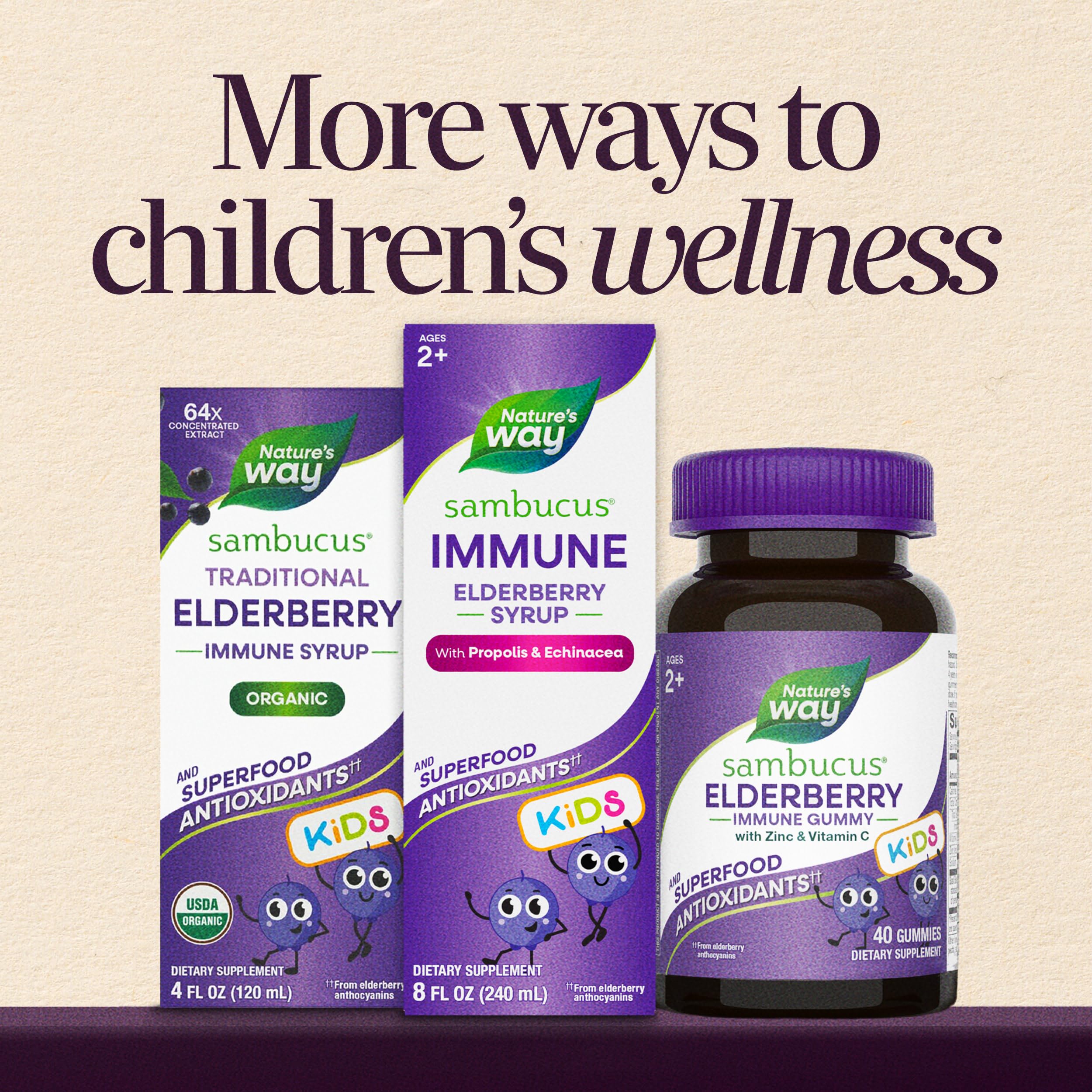 Nature's Way Sambucus Kids Immune Elderberry Syrup, Echinacea & Propolis — Amazon image 8