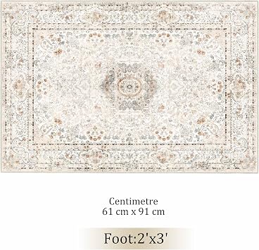 Small Rugs 2x3,Boho Rug for Entryway Bathroom Bedroom Kitchen Entrance Doormat,Vintage Bohemian Distressed Washable Accent Floor Throw Carpet Non Slip,Beige
