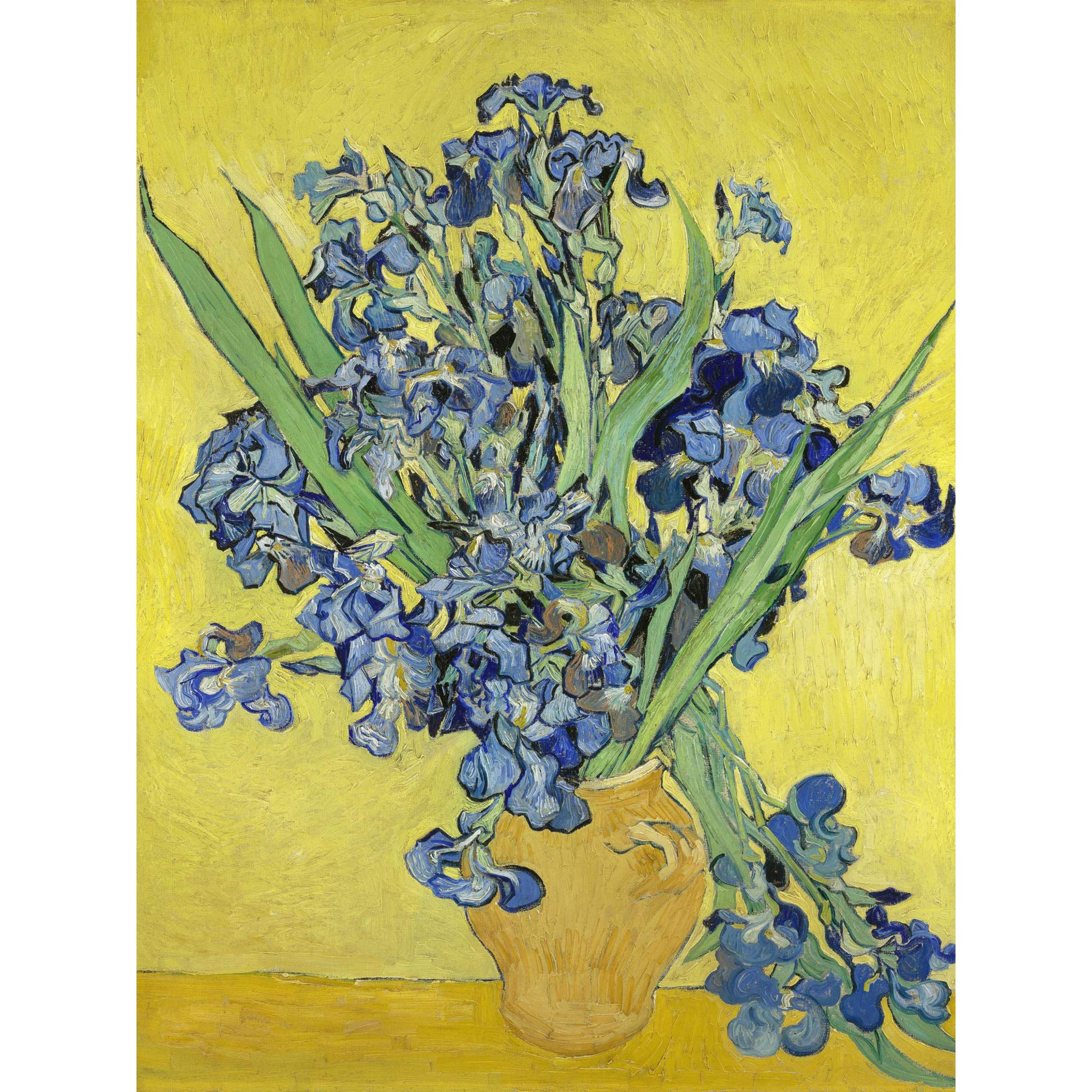 Van Gogh Irises Painting Large Canvas Wall Art Print