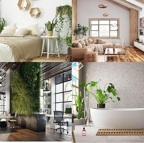 Miniatura 4 de Juego de difusor de varillas Paquete de 2 aroma a piña y cítricos, 3.9 fl oz Caña de aceite de aromaterapia de larga duración, ambientadores para