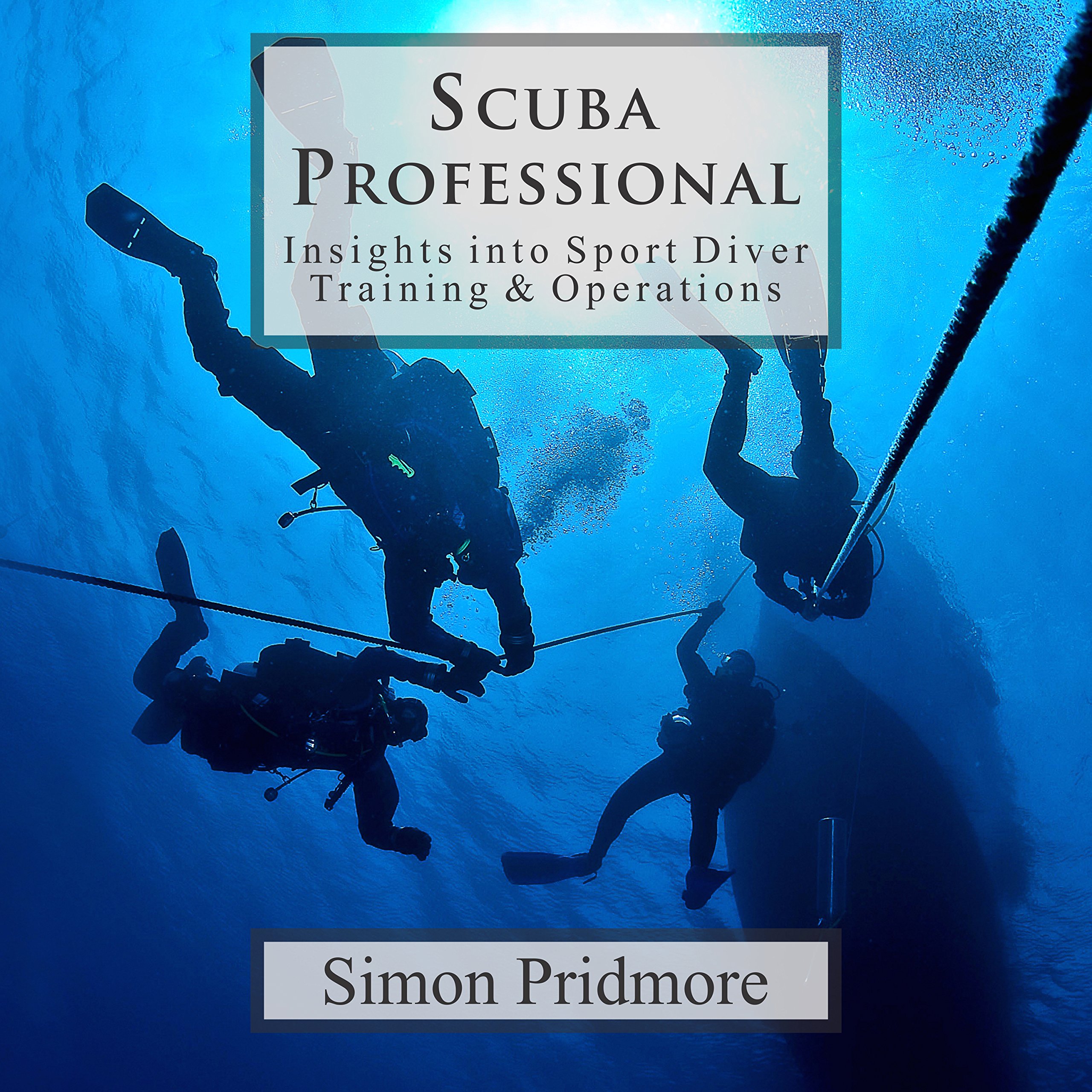 Cover art for Scuba Professional