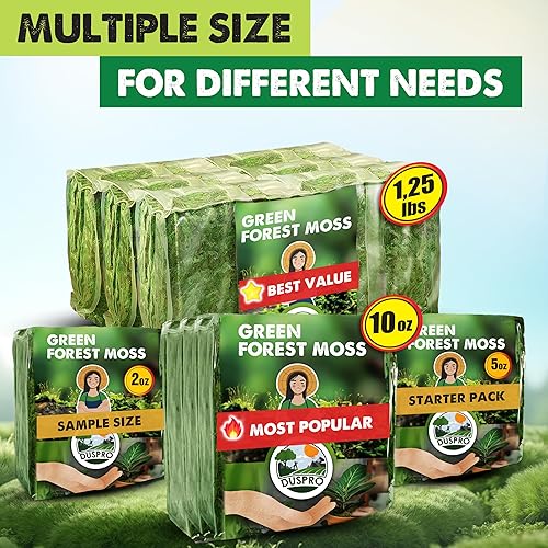 Miniatura 6 de DUSPRO Musgo Verde Mejorado para Manualidades, Musgo Real de Bosque en Plantas en Maceta, Musgos Decorativos para Centros de Mesa de Boda, Navidad