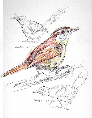 Miniatura 3 de UCreate - Cuaderno de bocetos premium, pesado, 9 x 12 pulgadas, 30 hojas (paquete de 2)