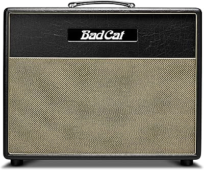 Bad Cat - Black Cat 1x12 Cabinet - Gold Weave Grille, Gold Piping