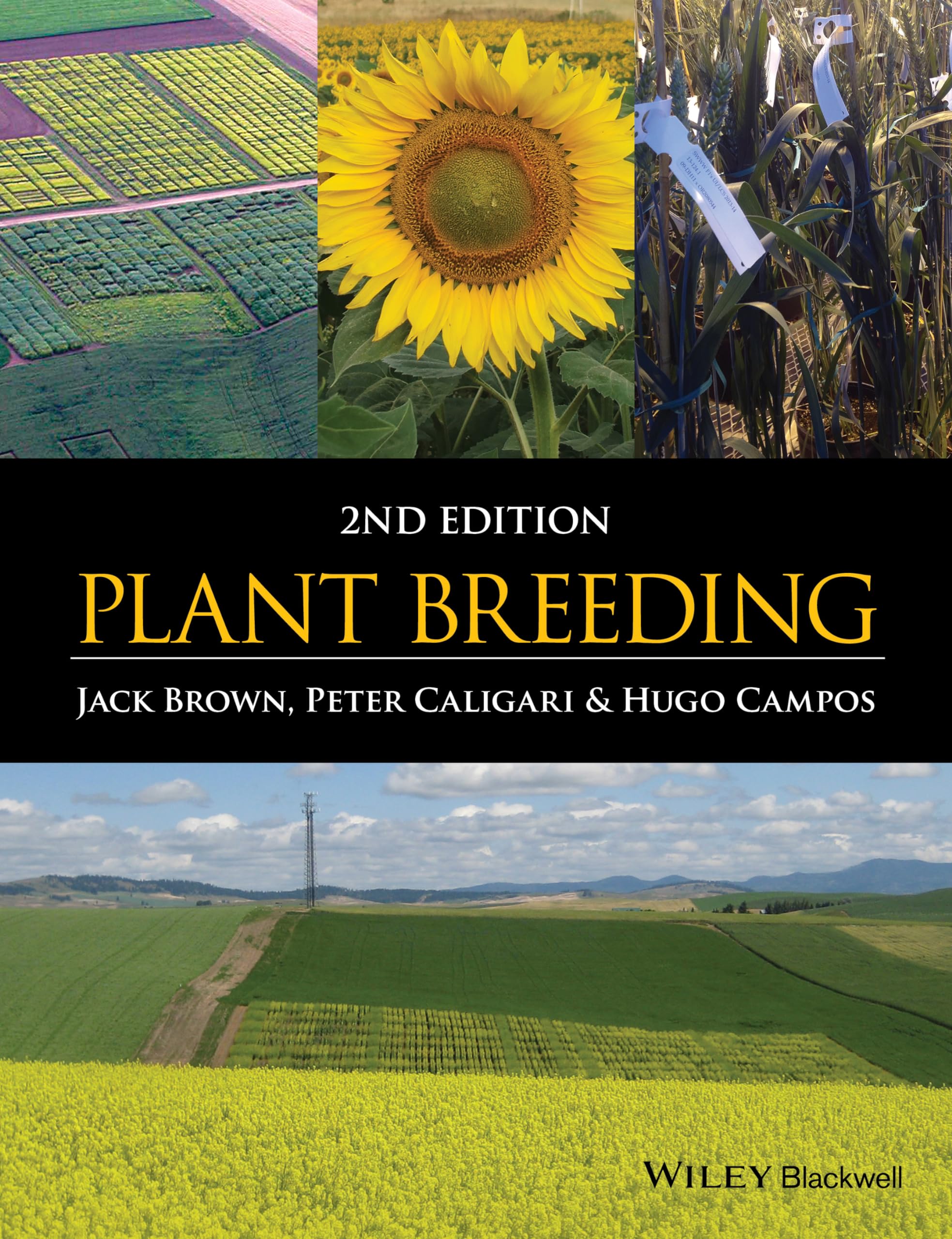 Plant Breeding by Jack Brown, Peter Caligari, Hugo Campos - 9780470658307