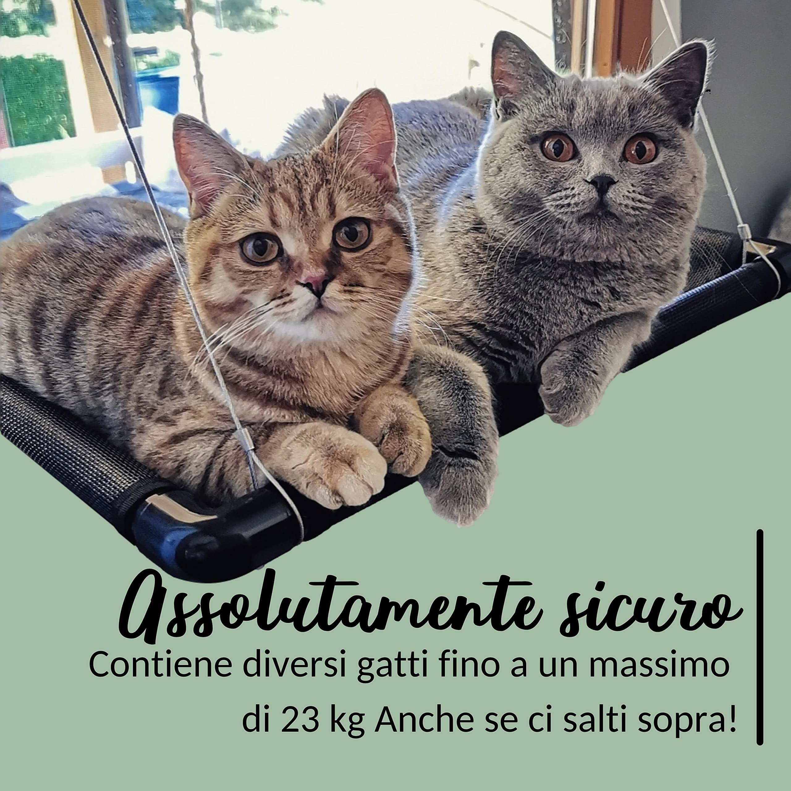 Riijk Amaca da finestra per gatti con portata massima da 23 kg, estremamente robusta, lettino da finestra per gatti