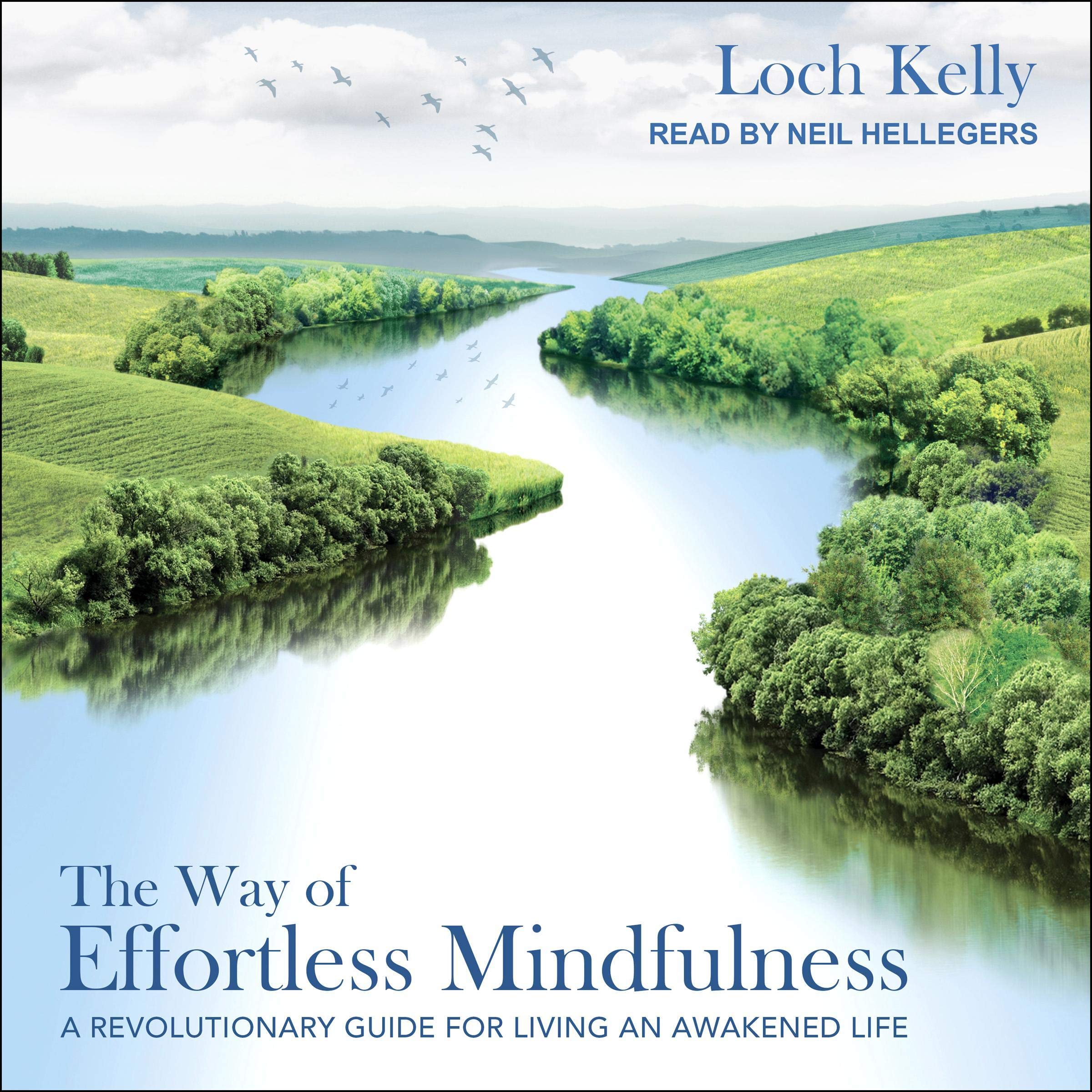 Cover art for The Way of Effortless Mindfulness