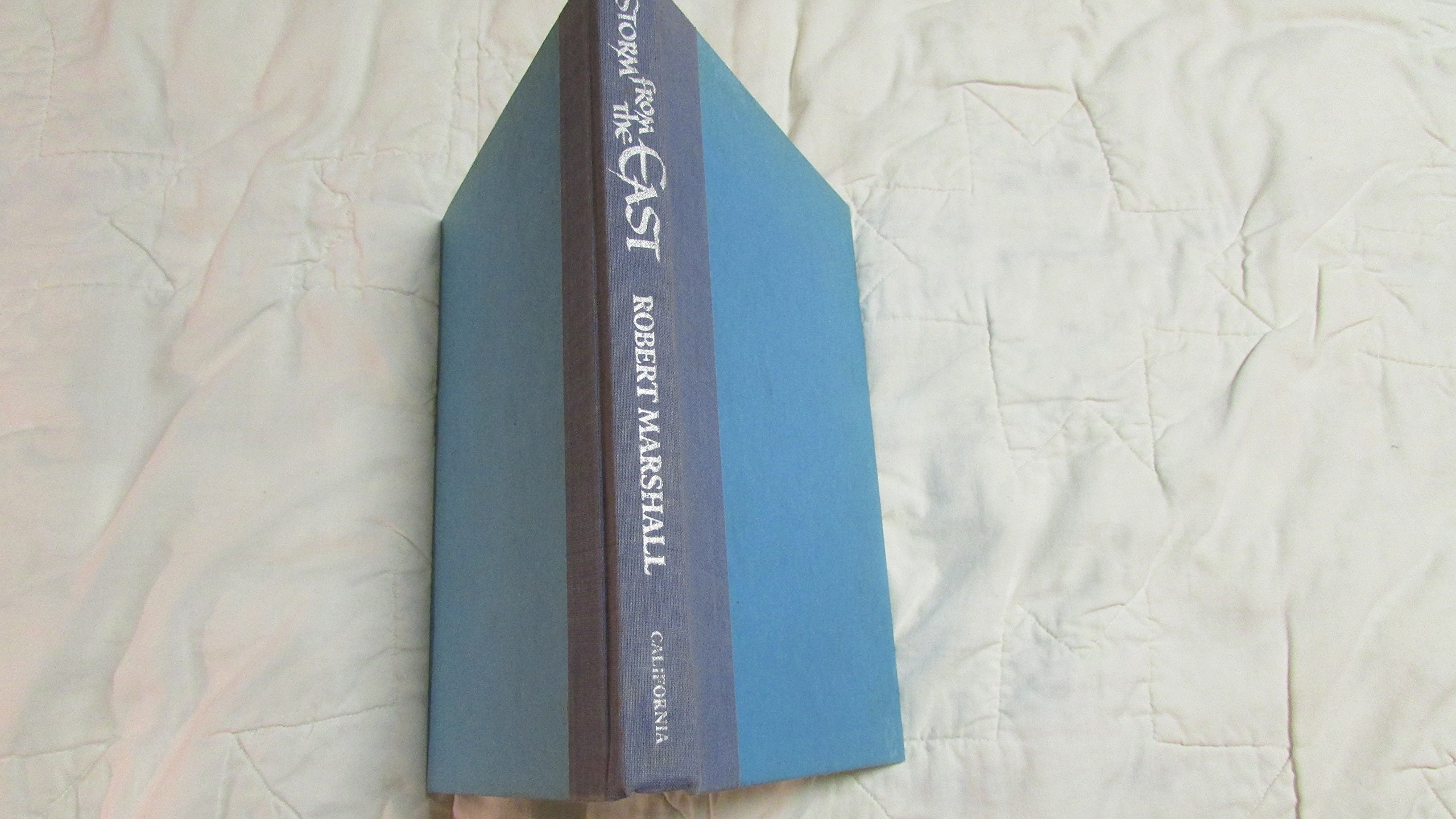 Storm from the East: From Genghis Khan to Khubilai Khan - Image 2