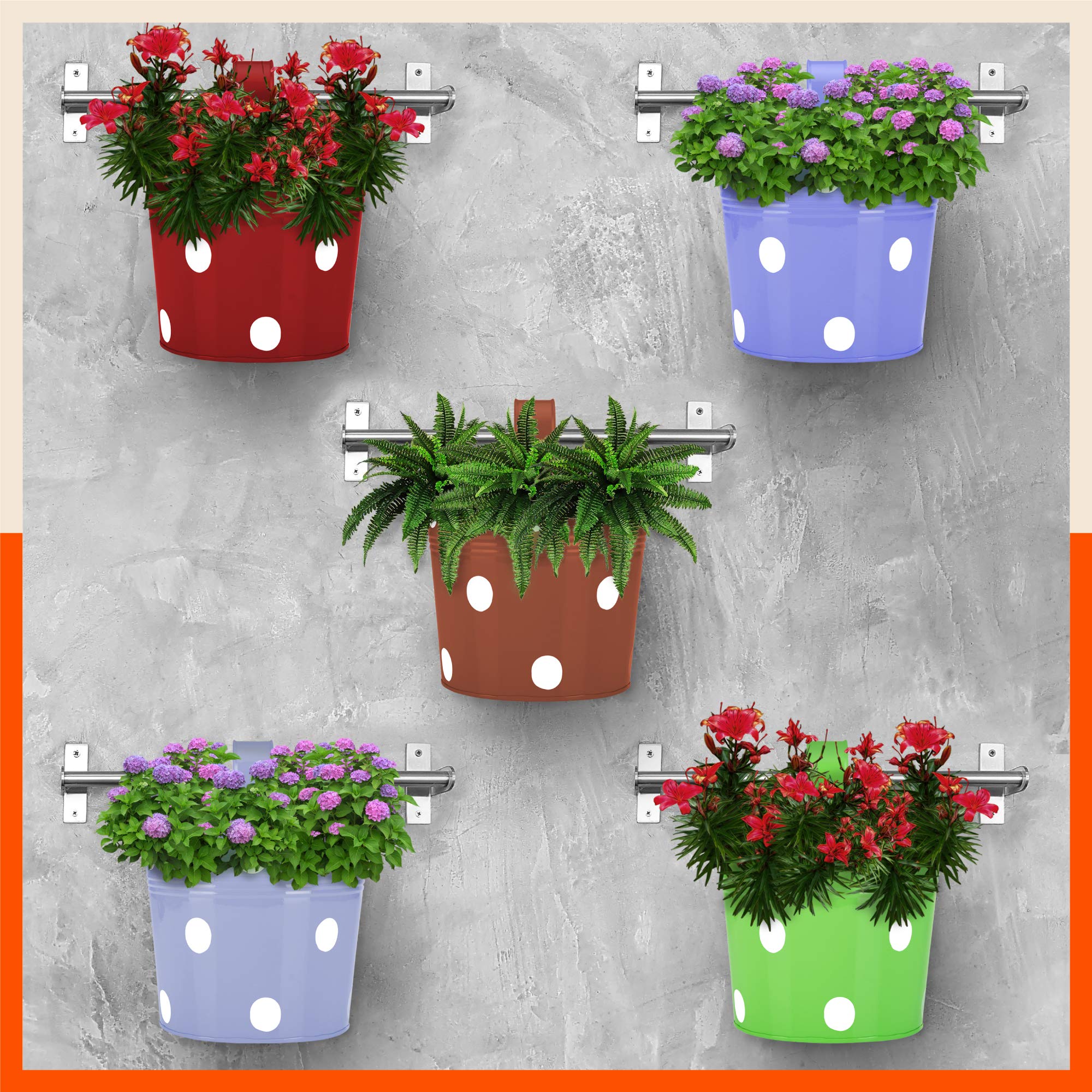 See full amazon price history chart for Bathla Patio RUI Circular Hanging Metal Pot Holders/Planters for Home/Balcony/Garden |Corrosion Resistant with Detachable Double Hooks | Urban Summer - Set of 5 Bathla Patio RUI Circular Hanging Metal Pot Holders/Planters for Home/Balcony/Garden |Corrosion Resistant with Detachable Double Hooks | Urban Summer - Set of 5 (B08YK6BBLC) Amazon Price History, Amazon Price Tracker