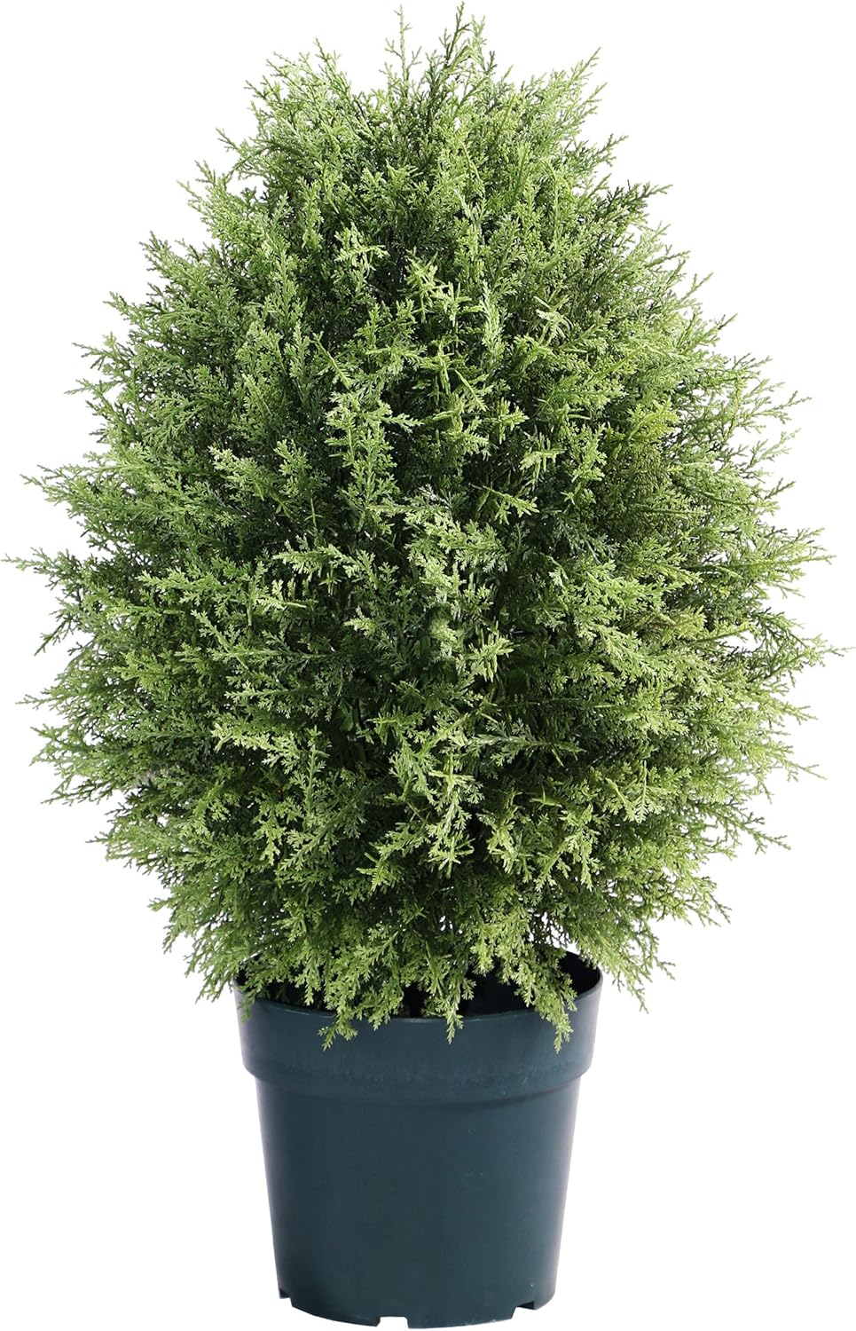 National Tree Company Artificial Mini Tree Decoration, Cypress, Includes Green Pot Base, Spring Collection, 32 Inches