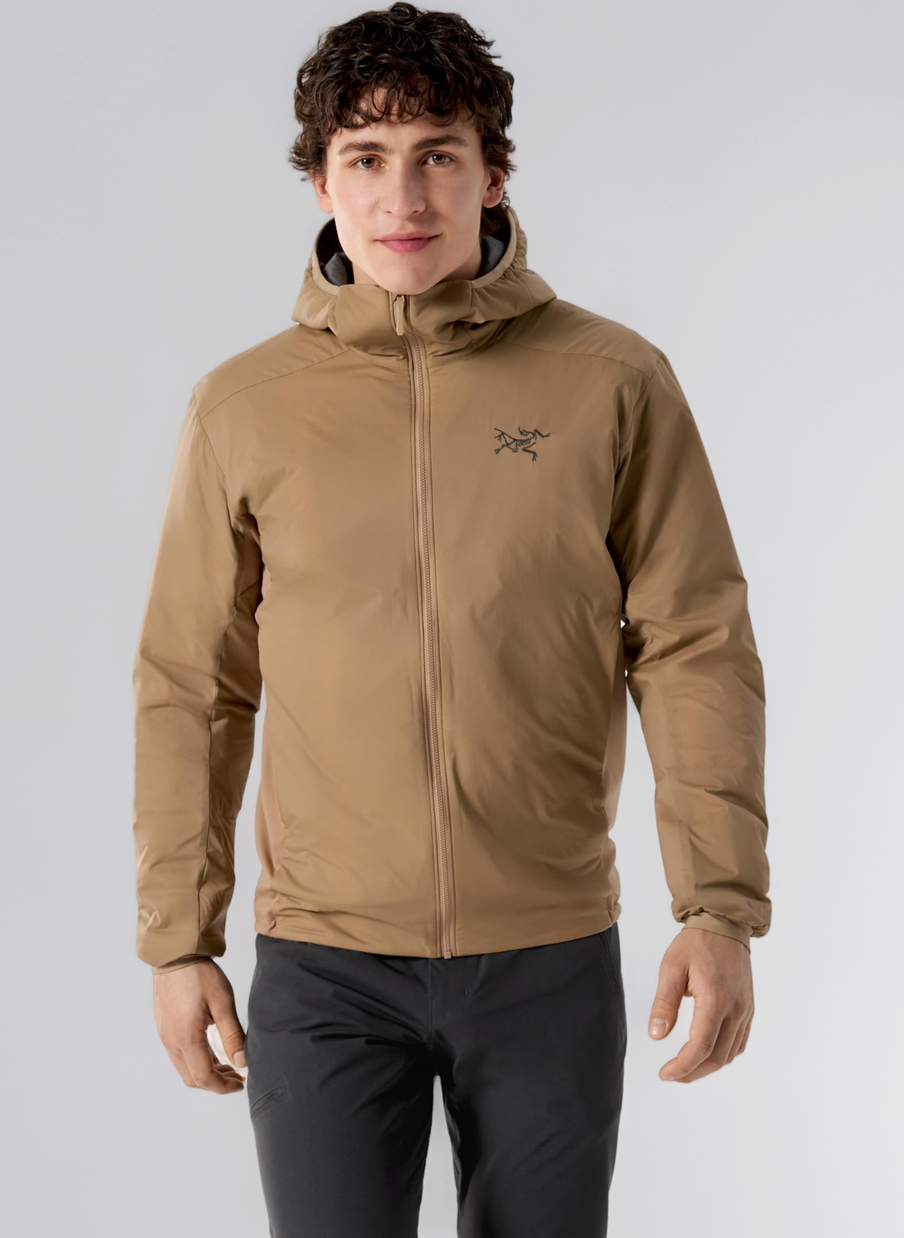 Amazon.co.jp: [アークテリクス] ARCTERYX アトムフーディ男性用