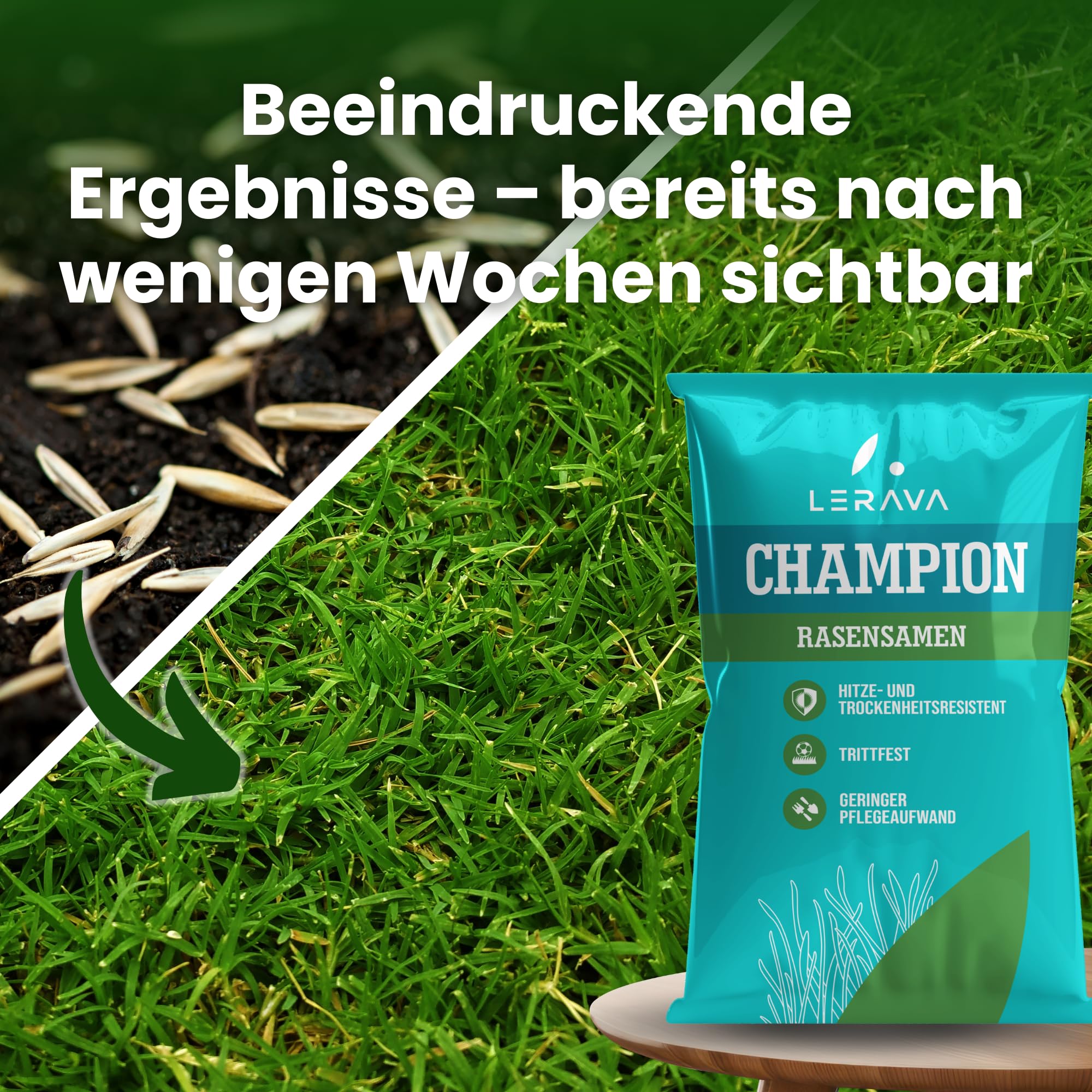 LERAVA CHAMPION Rasensamen (185 m²) - trockenresistent & trittfest - schnellkeimender Grassamen für dichten Rasen - strapazierfähige Nachsaat Herbst - ideal für Spiel- & Sportrasen