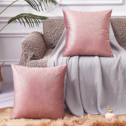 EUCIOR Juego de 2 fundas de almohada de color oro rosa, almohadas rosas y doradas, decoración de terciopelo suave con cierre de cremallera oculta,