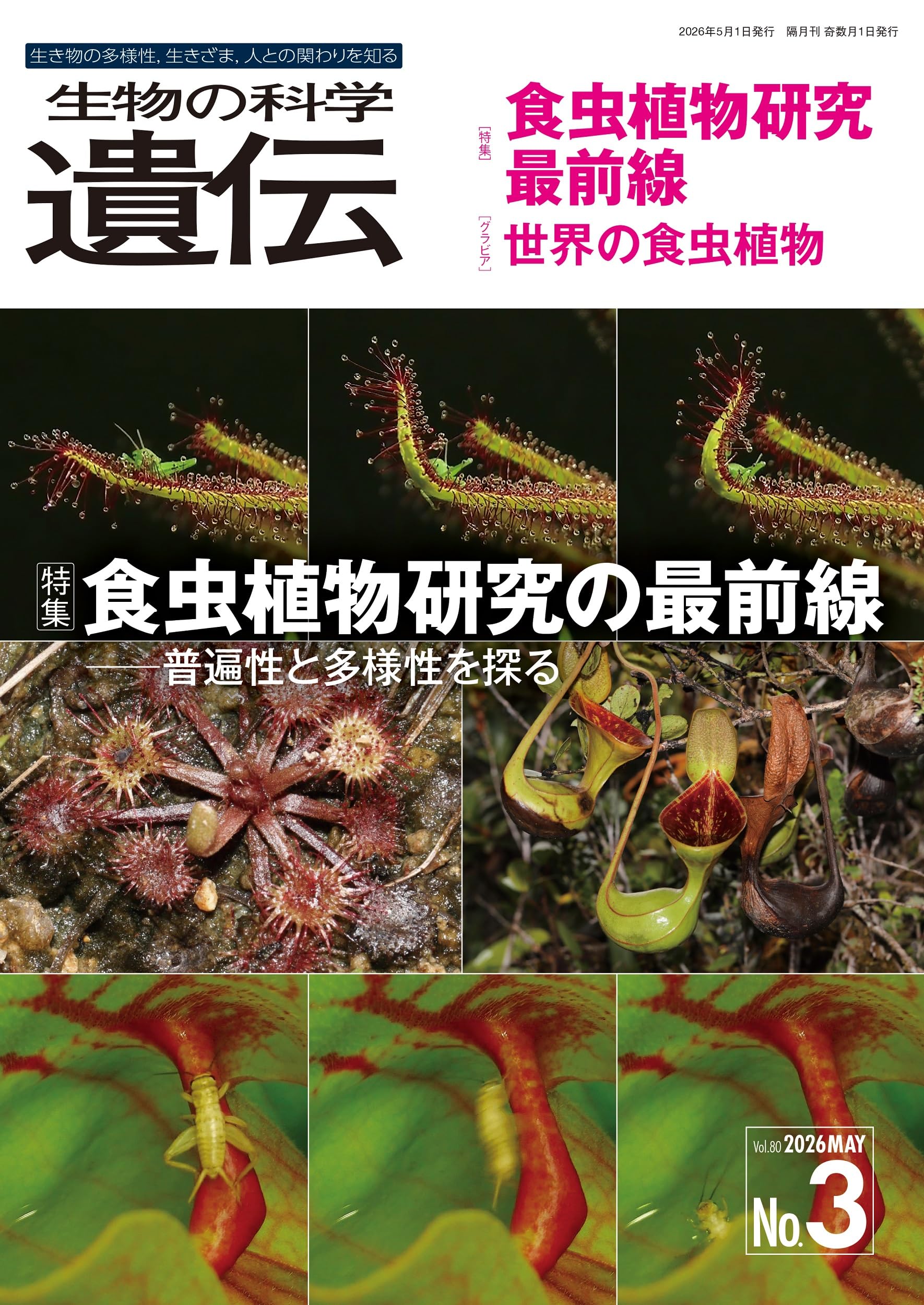 生物の科学 遺伝 2026年5月発行号(Vol.80‐No.3): 食虫植物研究の最前線