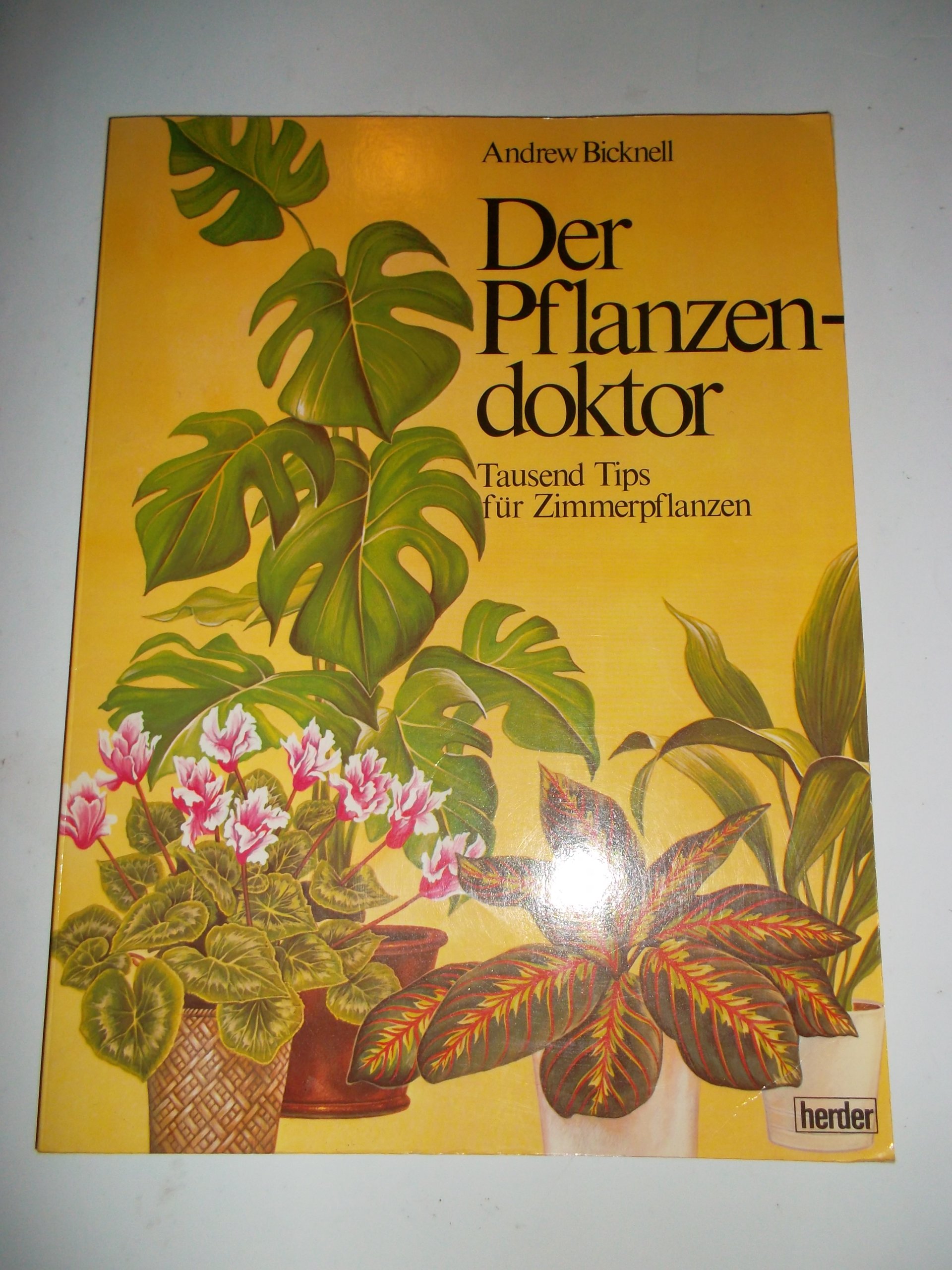 saatgut fr den garten Bio-Saatgut-Set: 20 Lieblingssorten von Melli aus dem Garten  Heirbloom